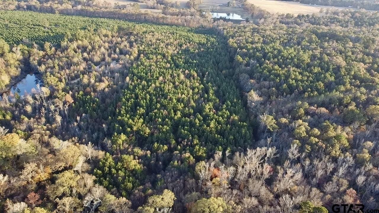 28.09 acres in Upshur County featured view