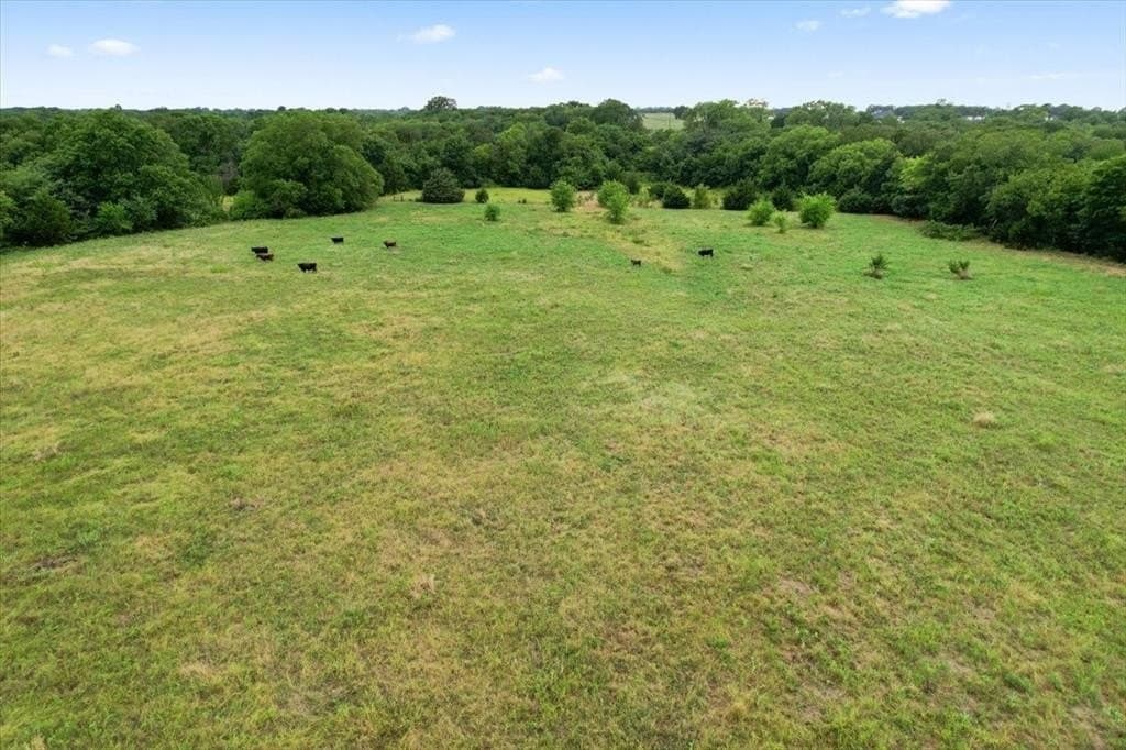 11 acres in Grayson County gallery image 2