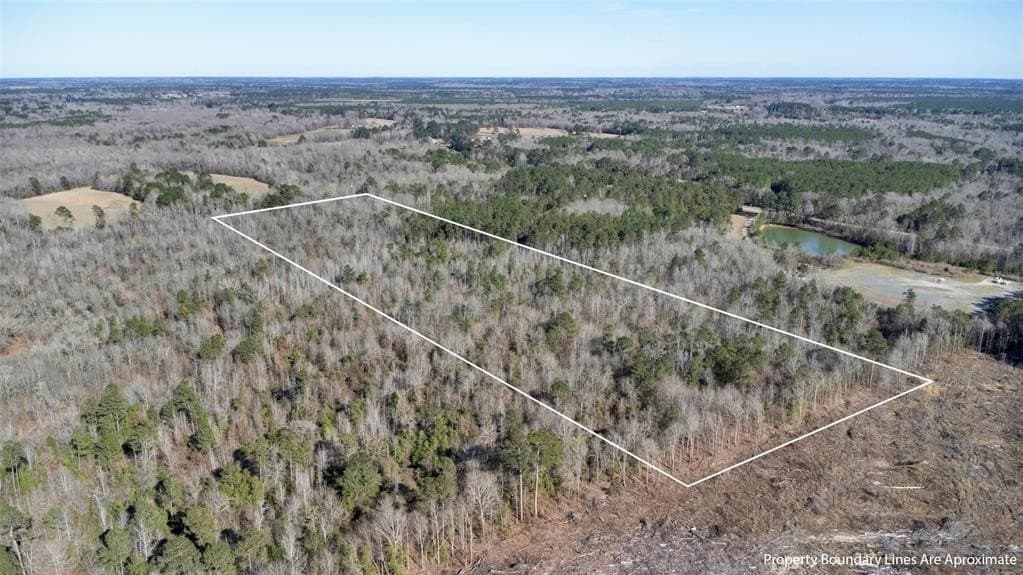 18.27 acres in Panola County featured view