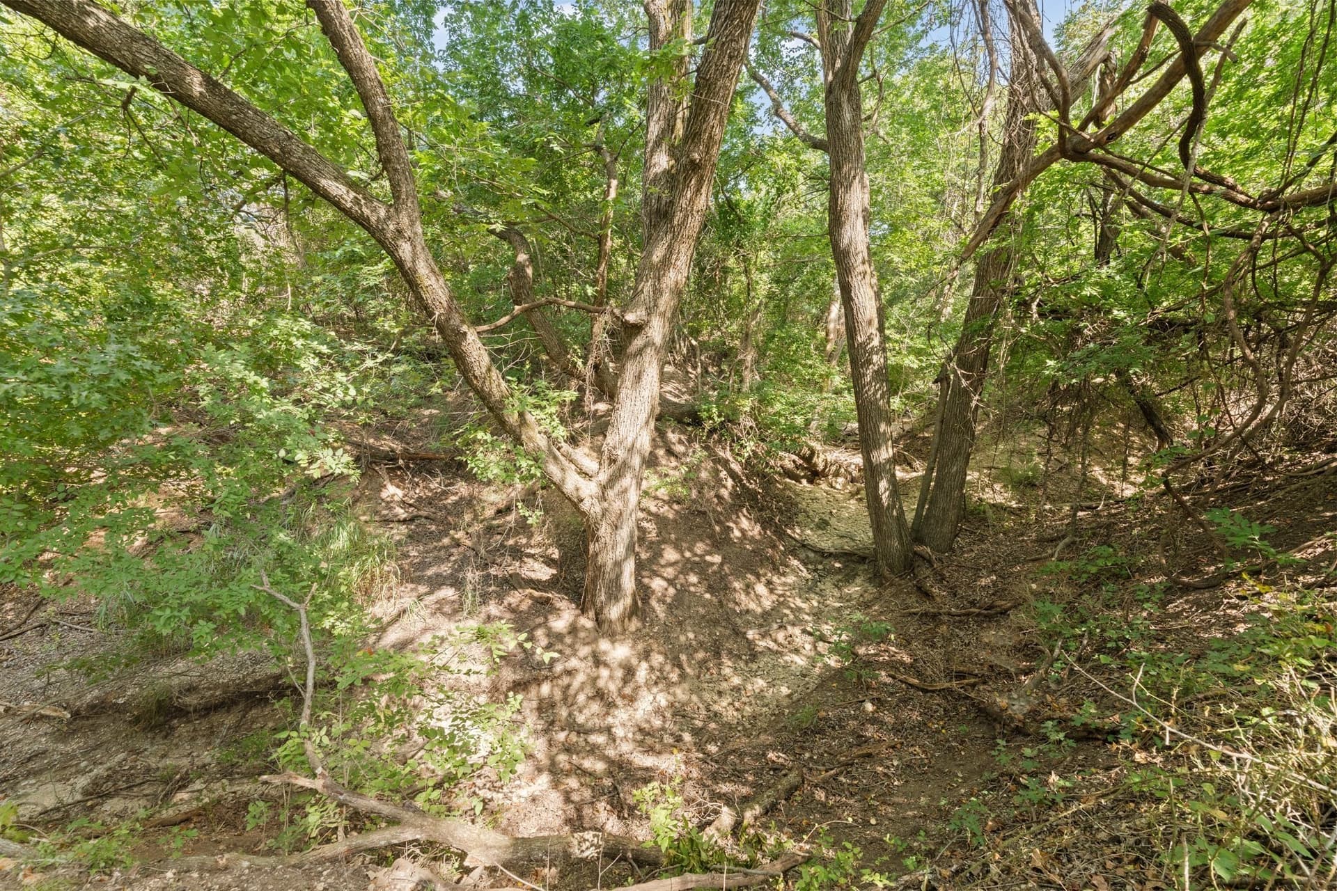 17.18 acres in Parker County - photo 39