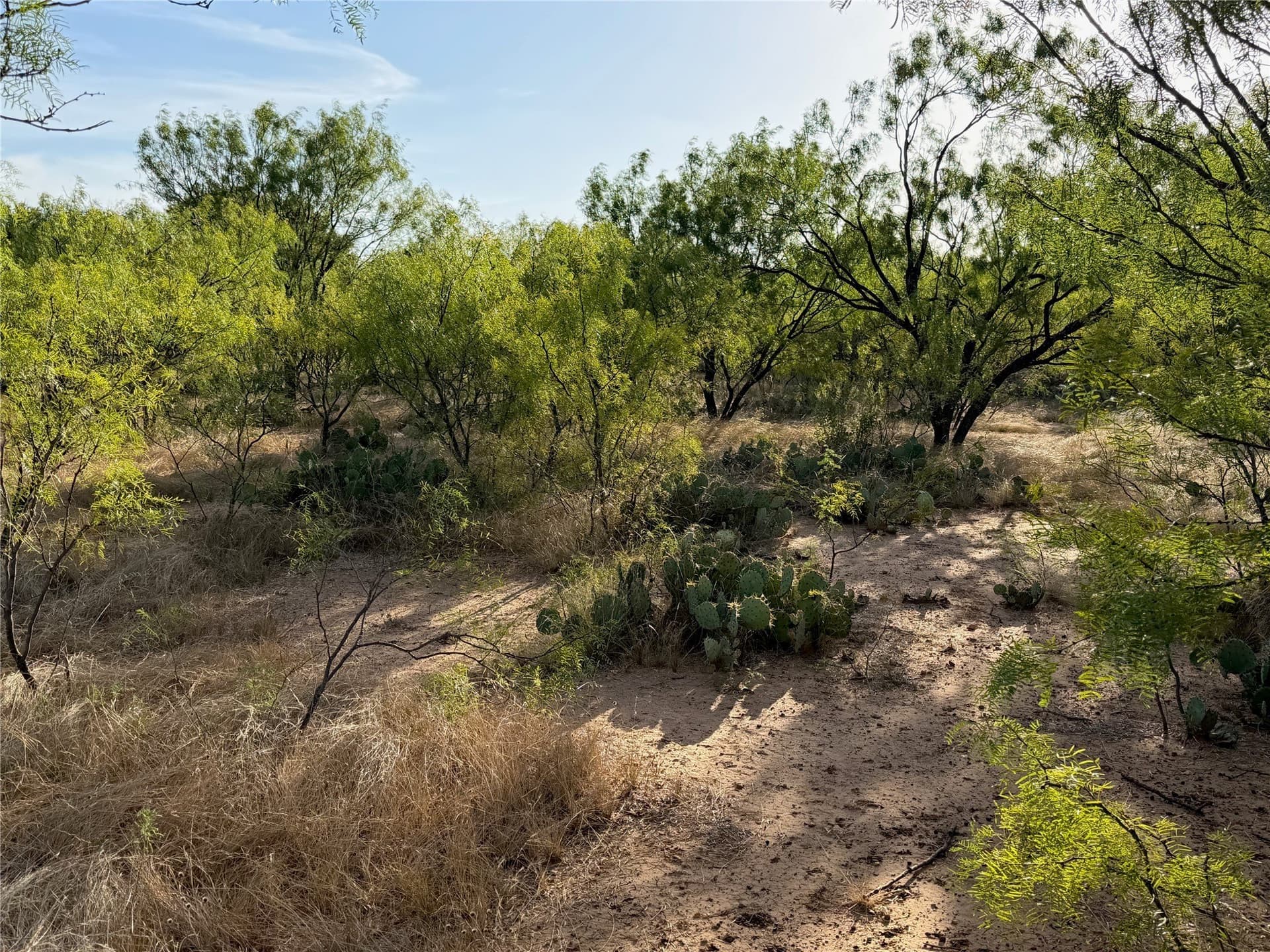 6.15 acres in Brown County - photo 13