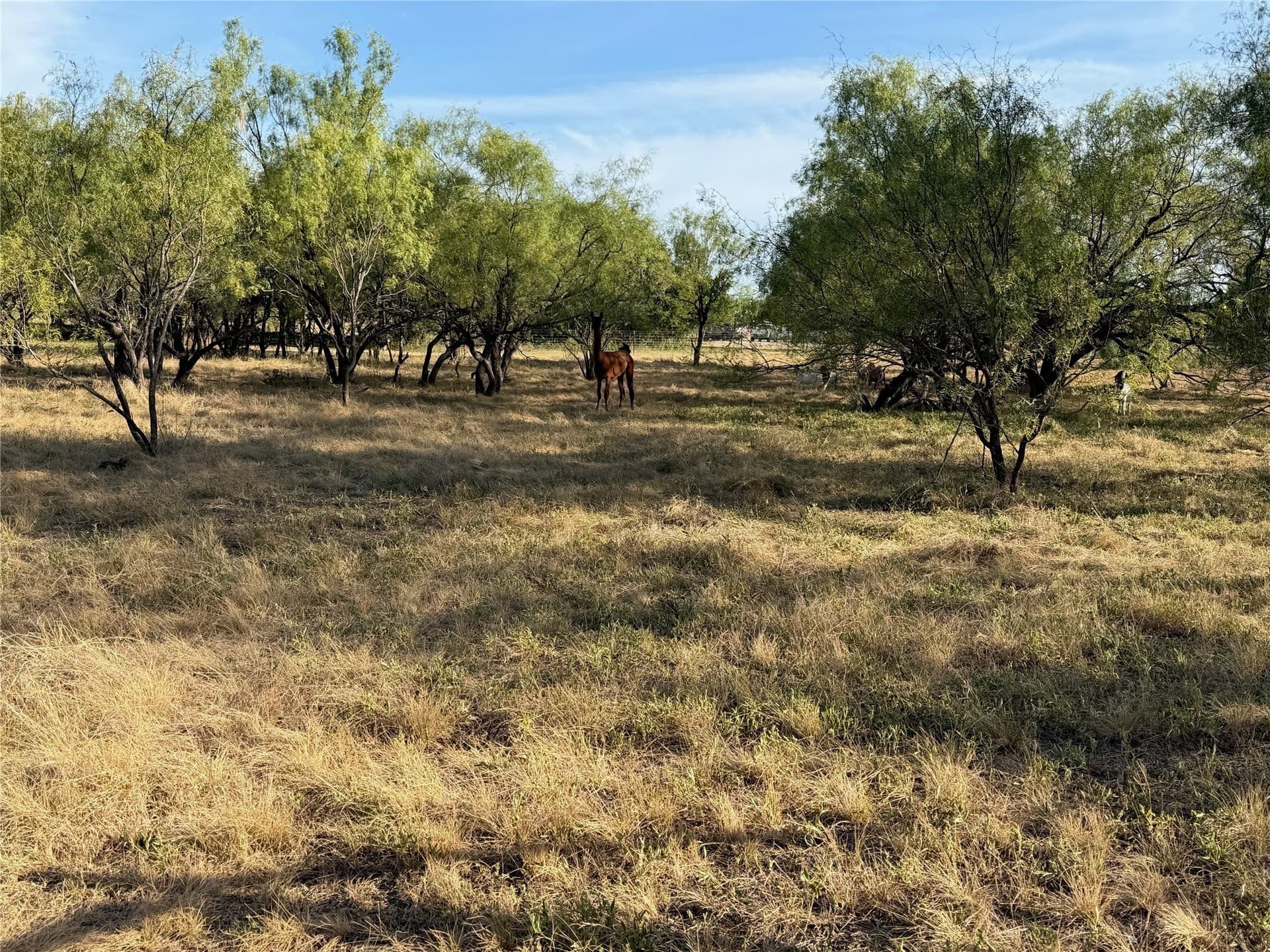 6.15 acres in Brown County - photo 3