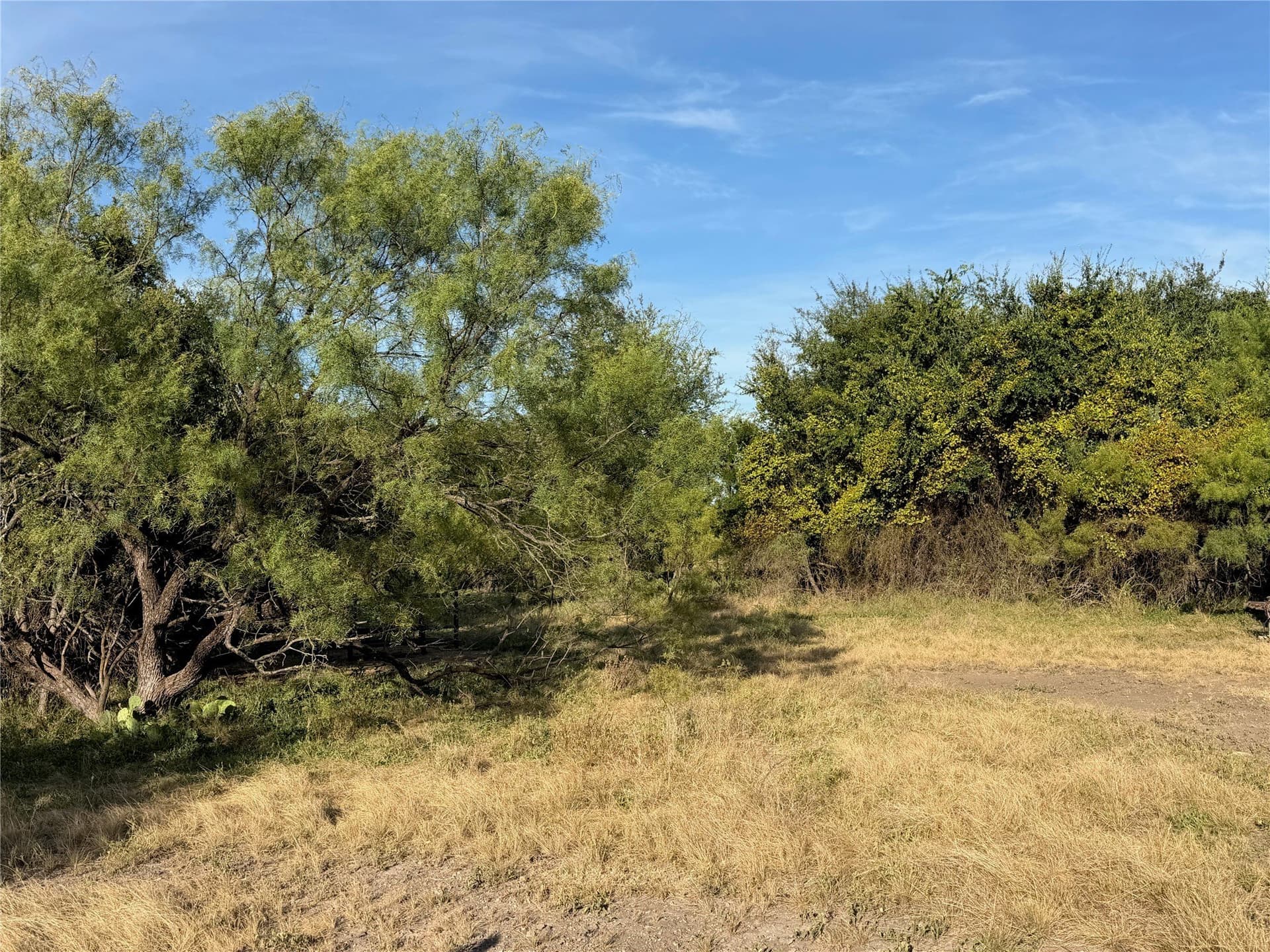 6.15 acres in Brown County - photo 6