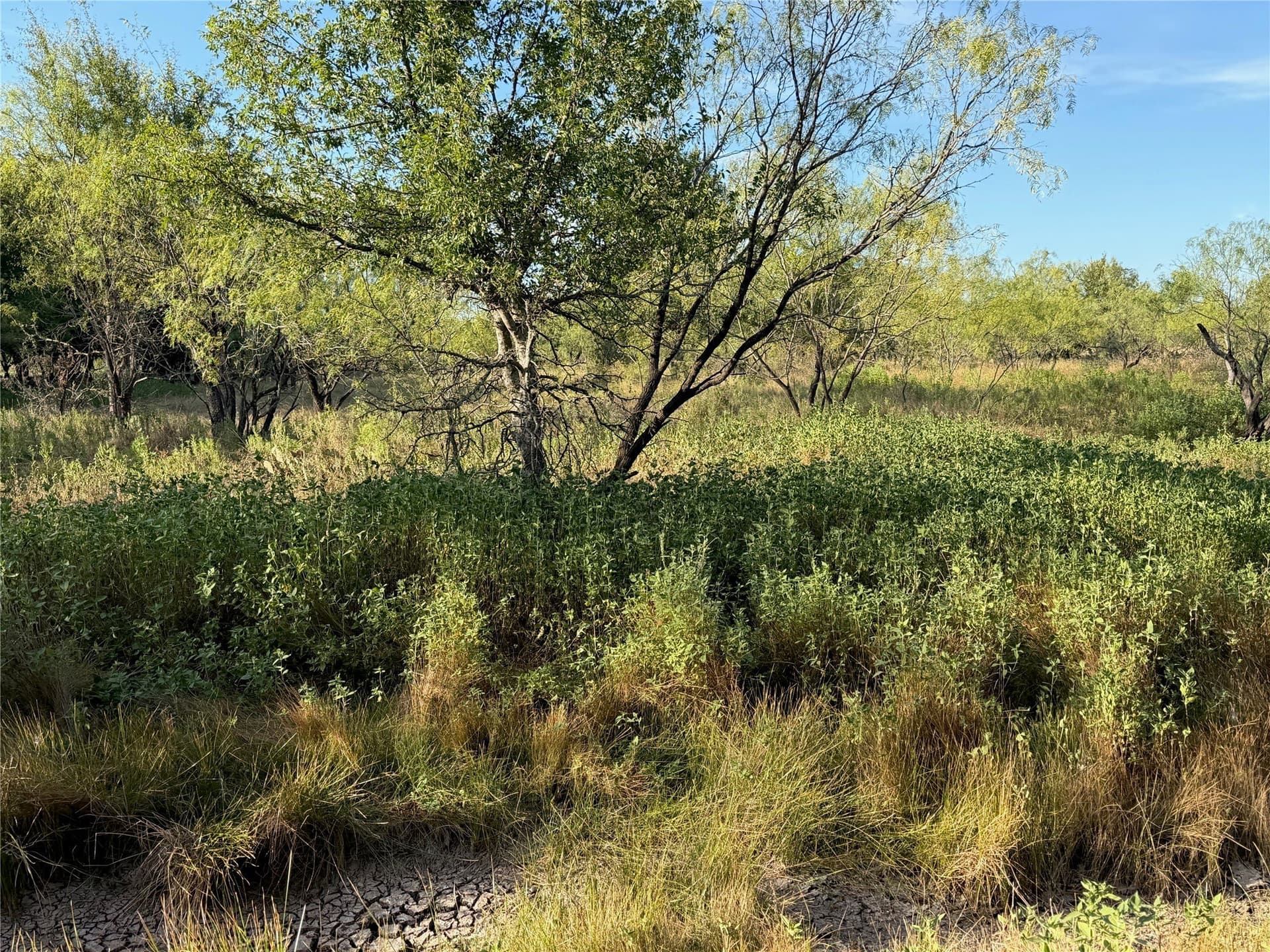 6.15 acres in Brown County - photo 18