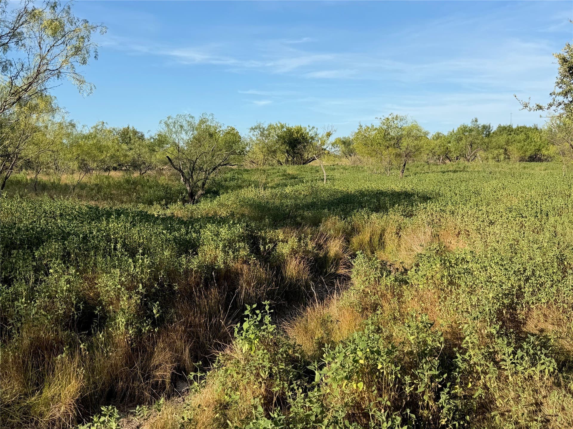 6.15 acres in Brown County - photo 19