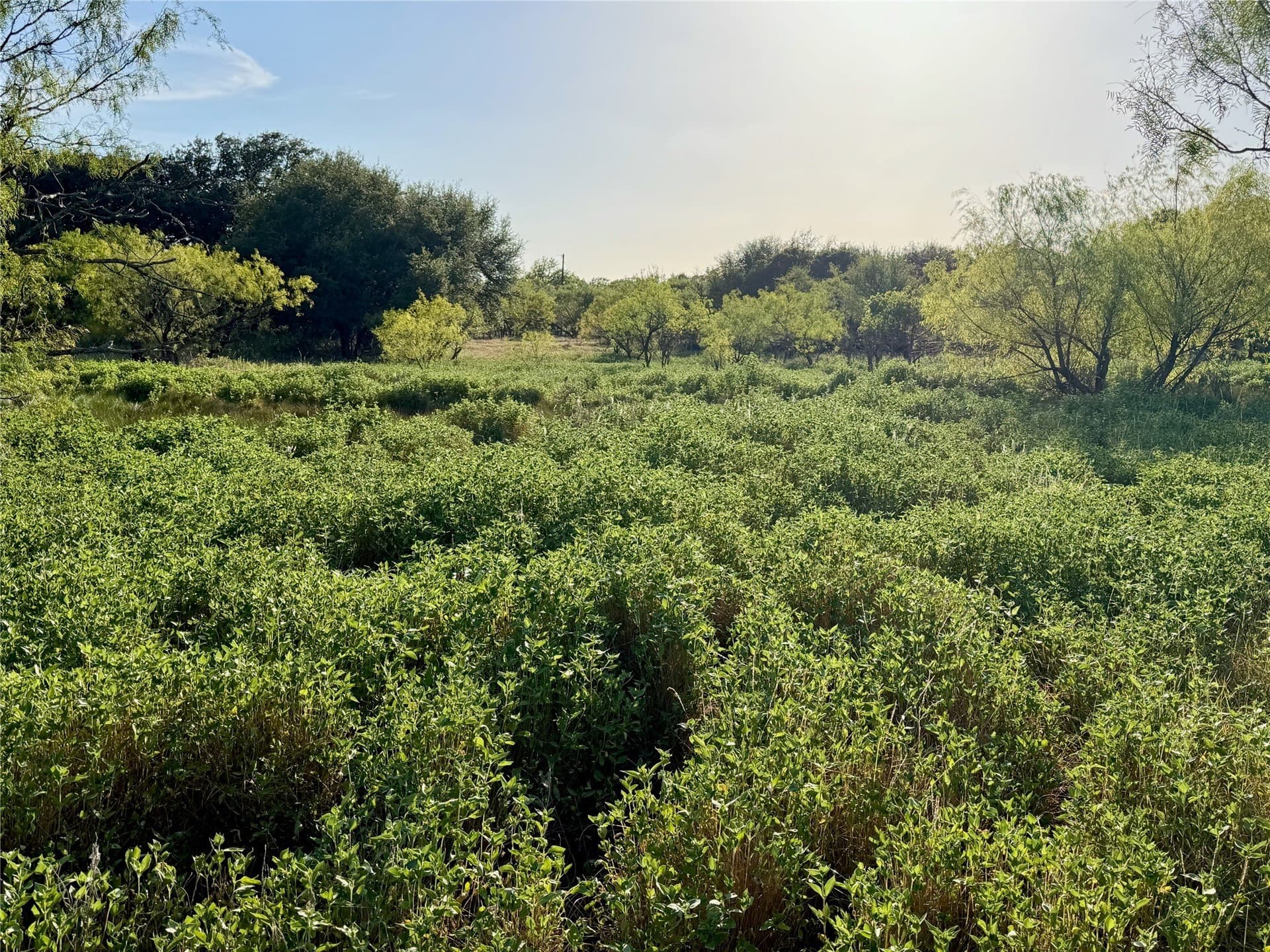 6.15 acres in Brown County - photo 16