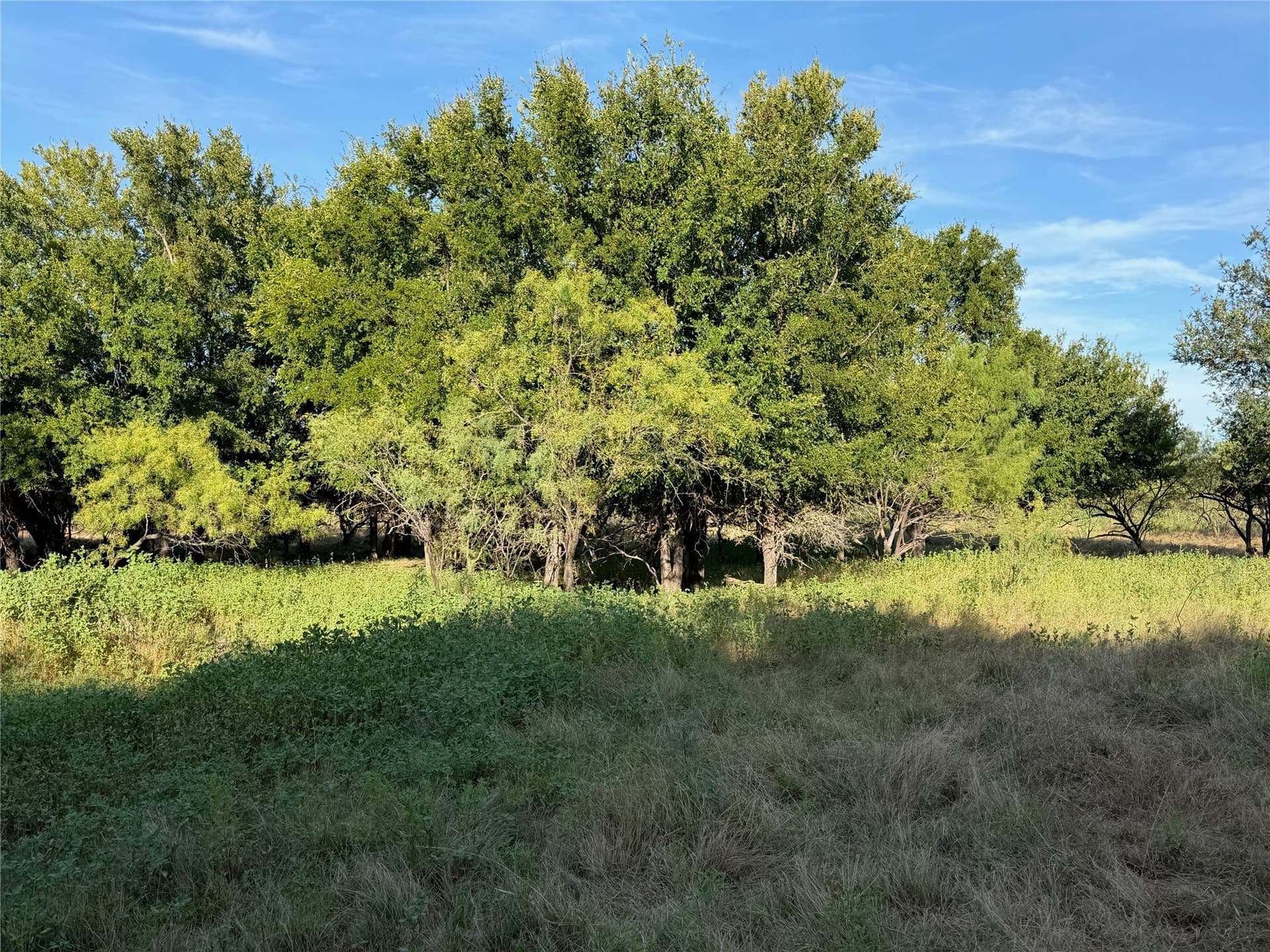6.15 acres in Brown County - photo 8