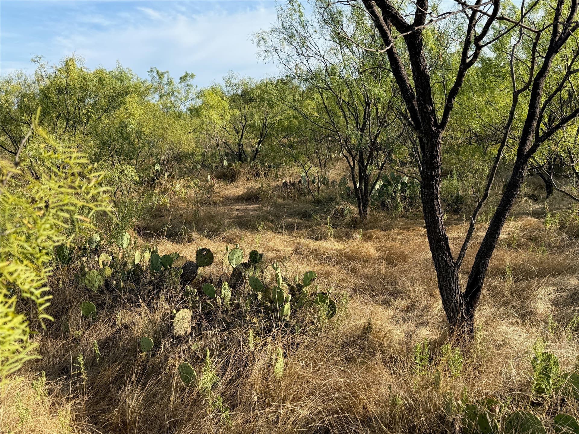 6.15 acres in Brown County - photo 14