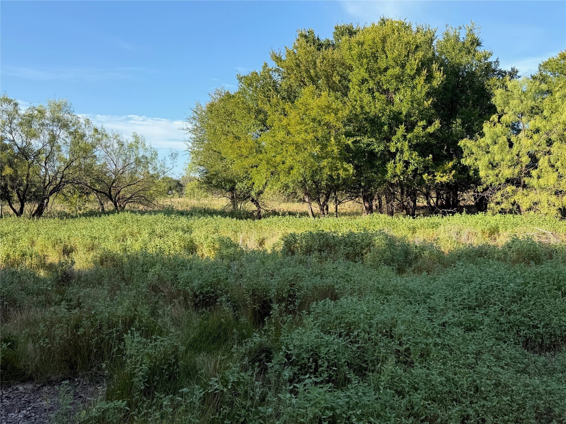 6.15 acres in Brown County - photo 7