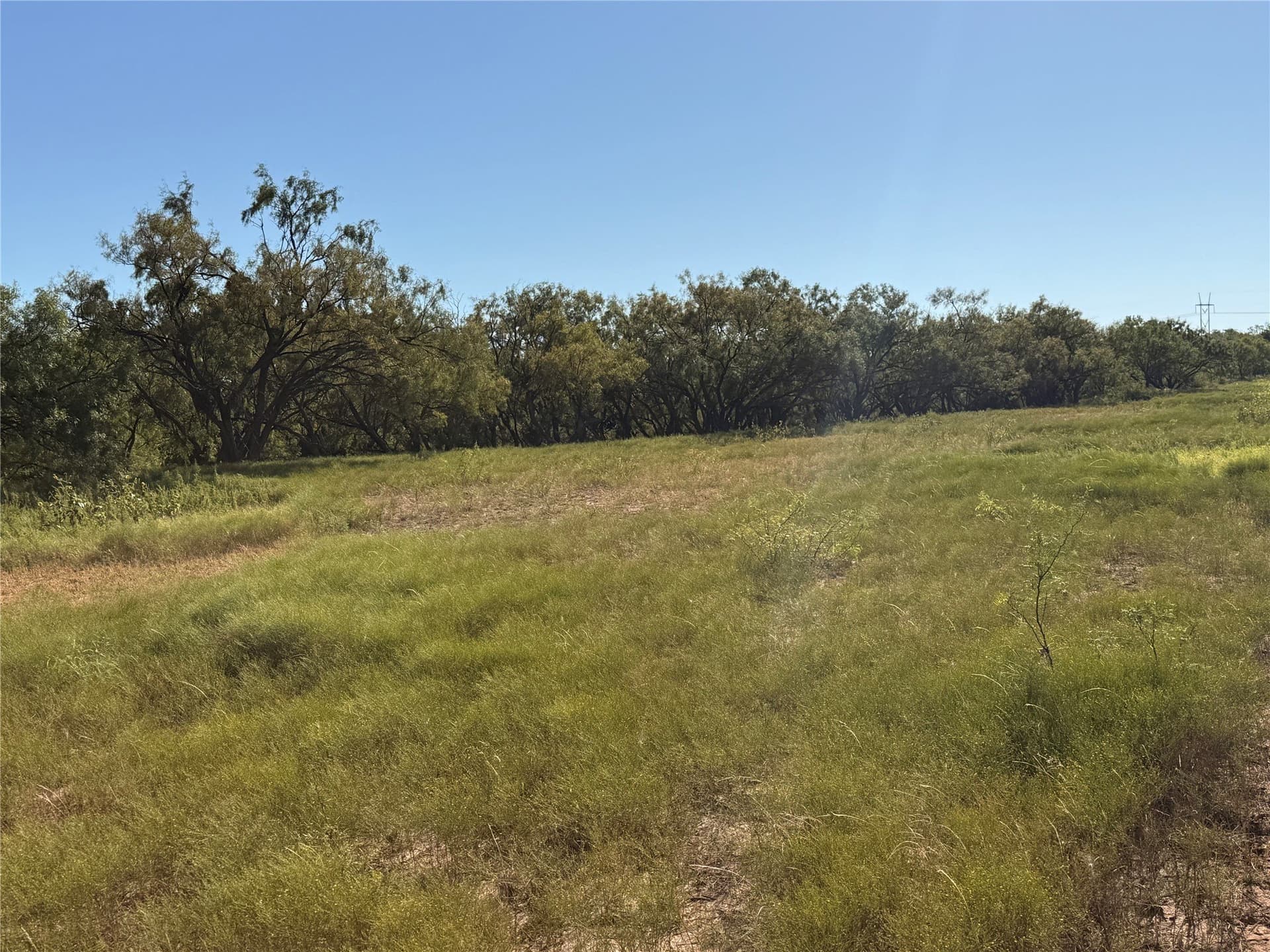 60 acres in Runnels County - photo 20