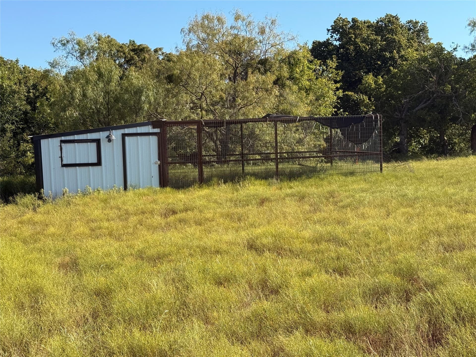 60 acres in Runnels County - photo 12