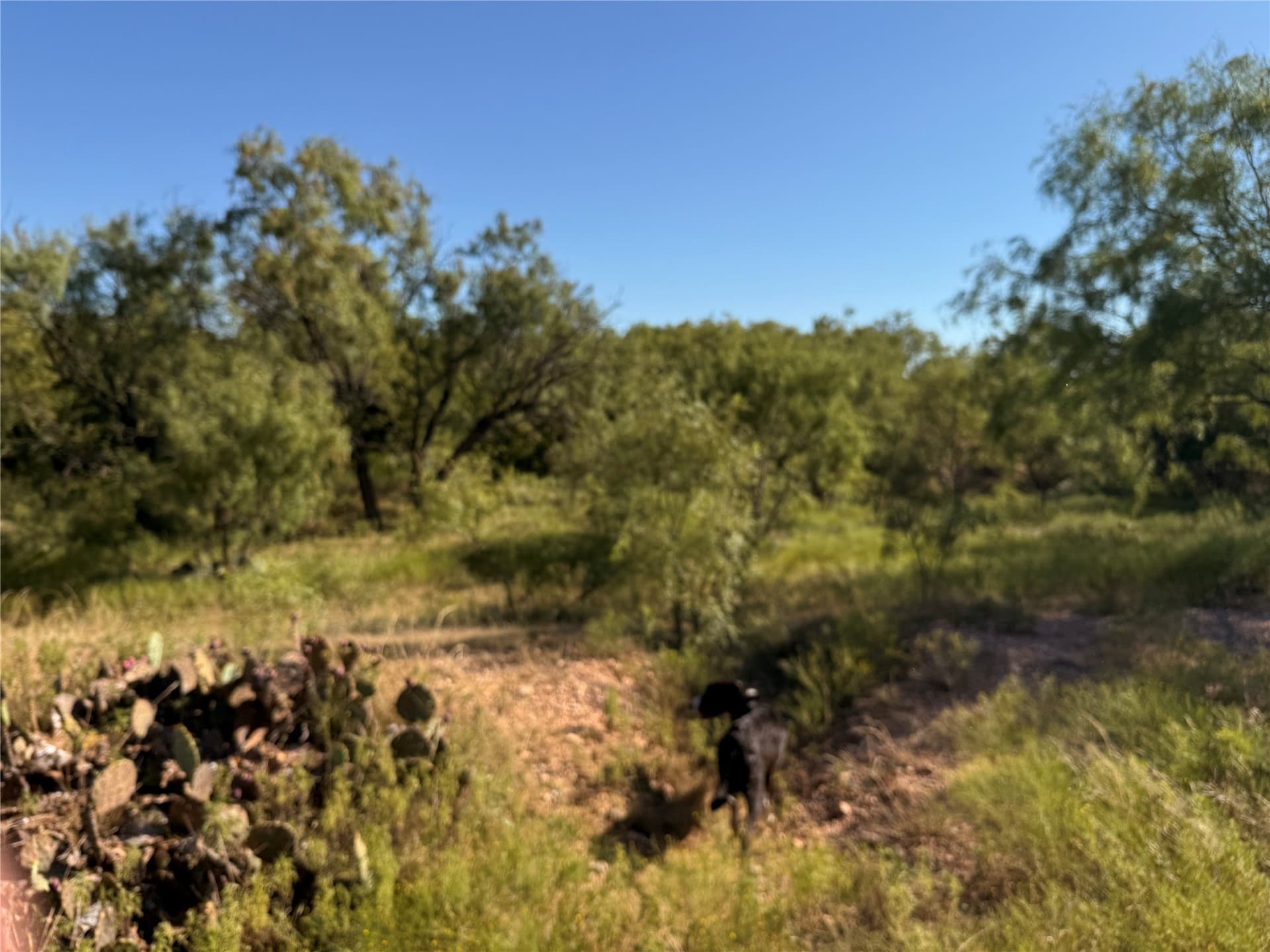 60 acres in Runnels County - photo 21