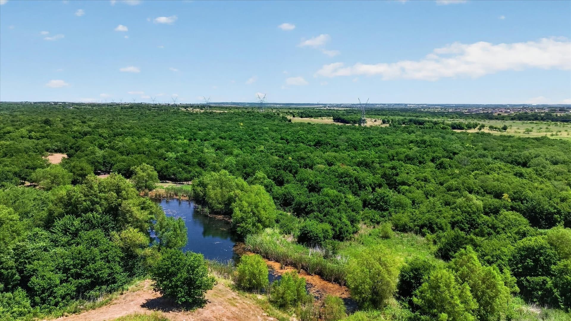 13.06 acres in Ellis County - photo 8