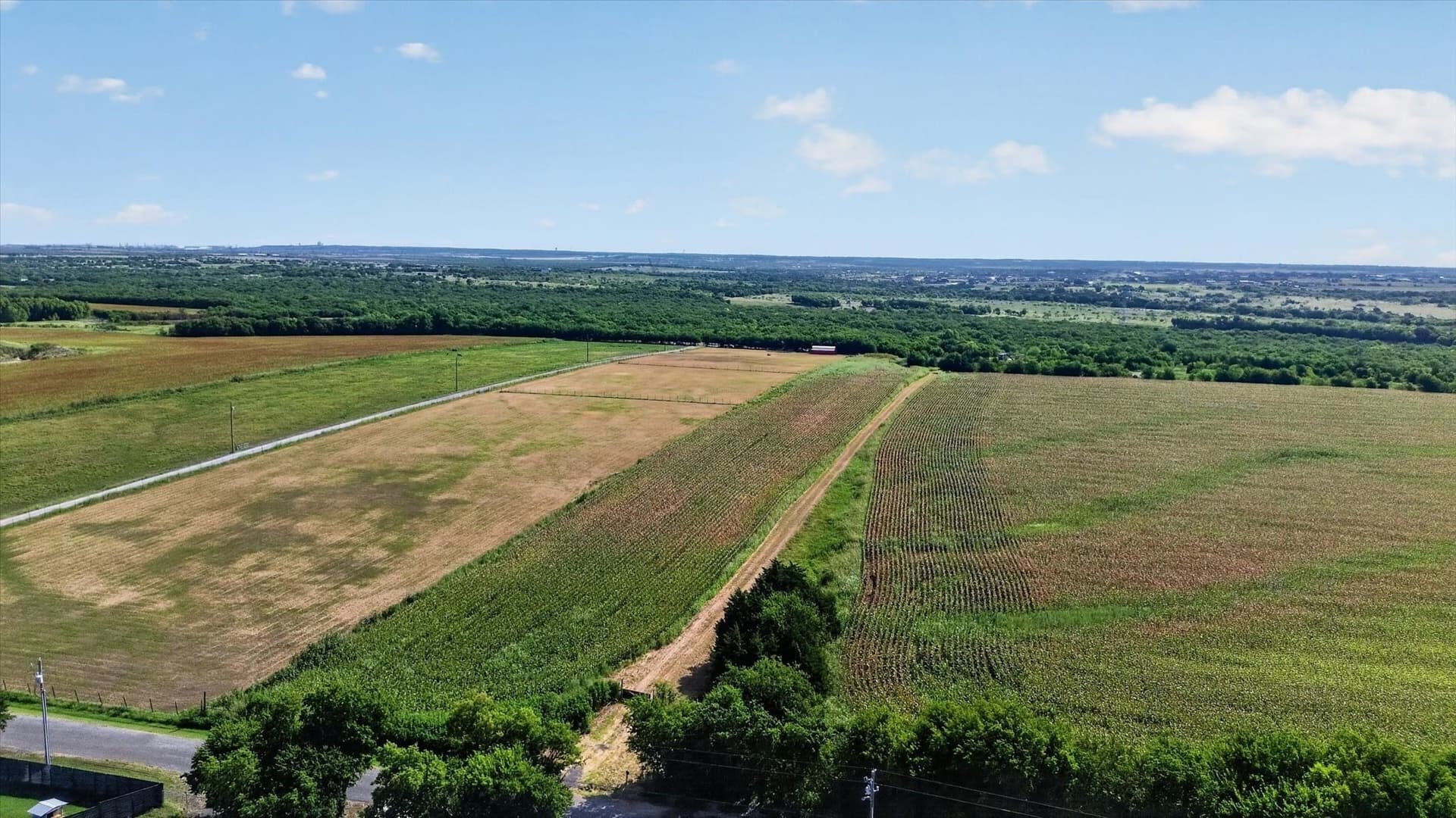13.06 acres in Ellis County gallery image 4