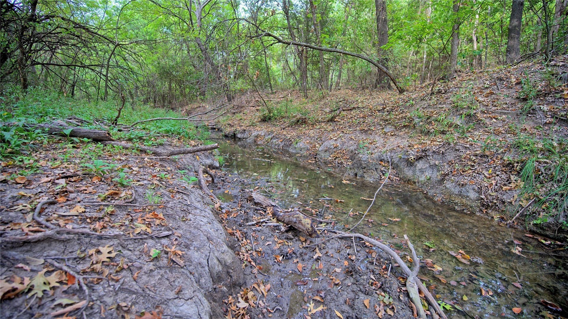 64.54 acres in Montague County - photo 14