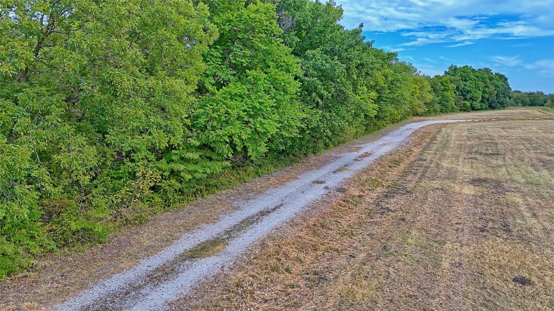 64.54 acres in Montague County - photo 9