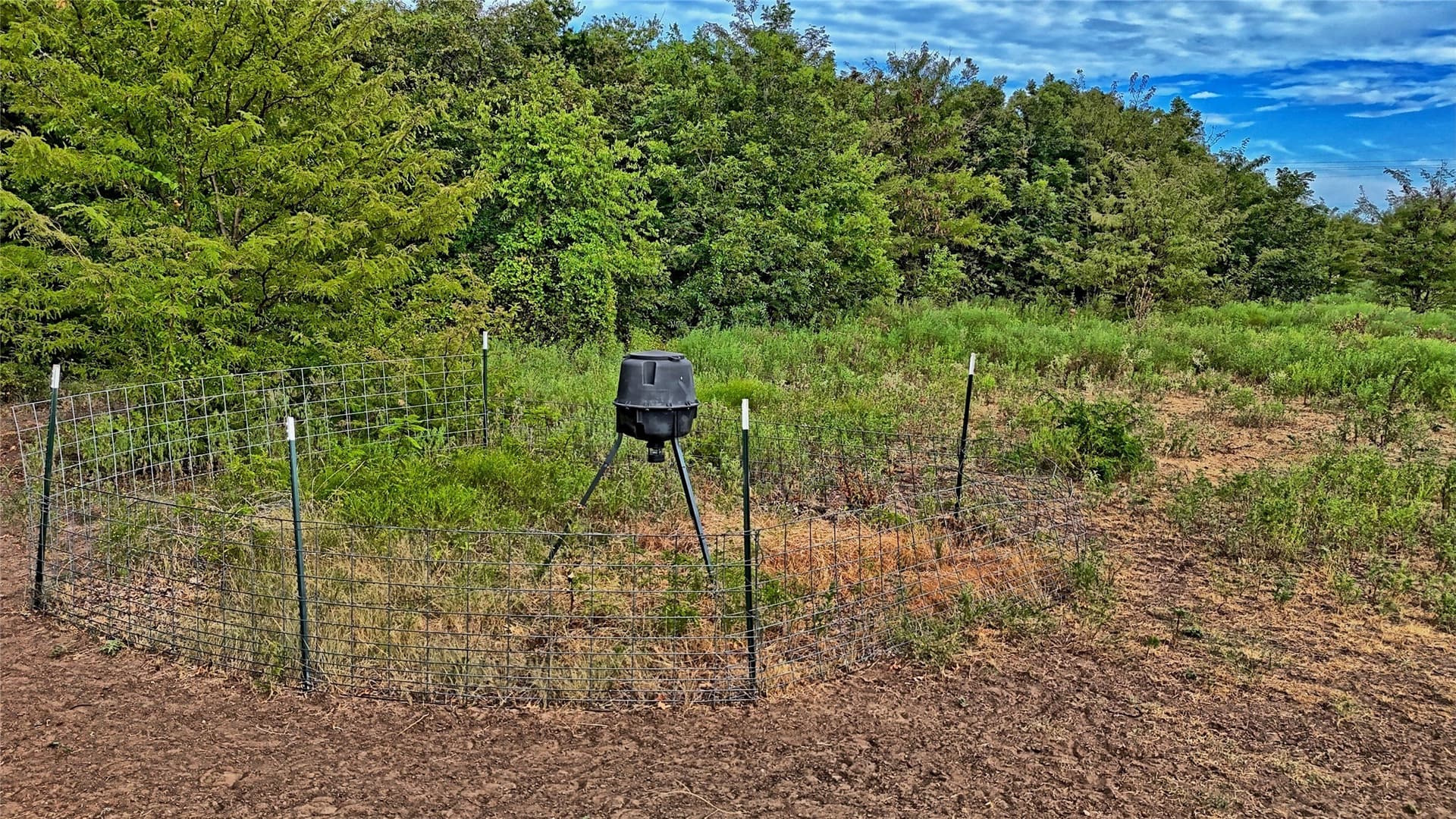 64.54 acres in Montague County - photo 7