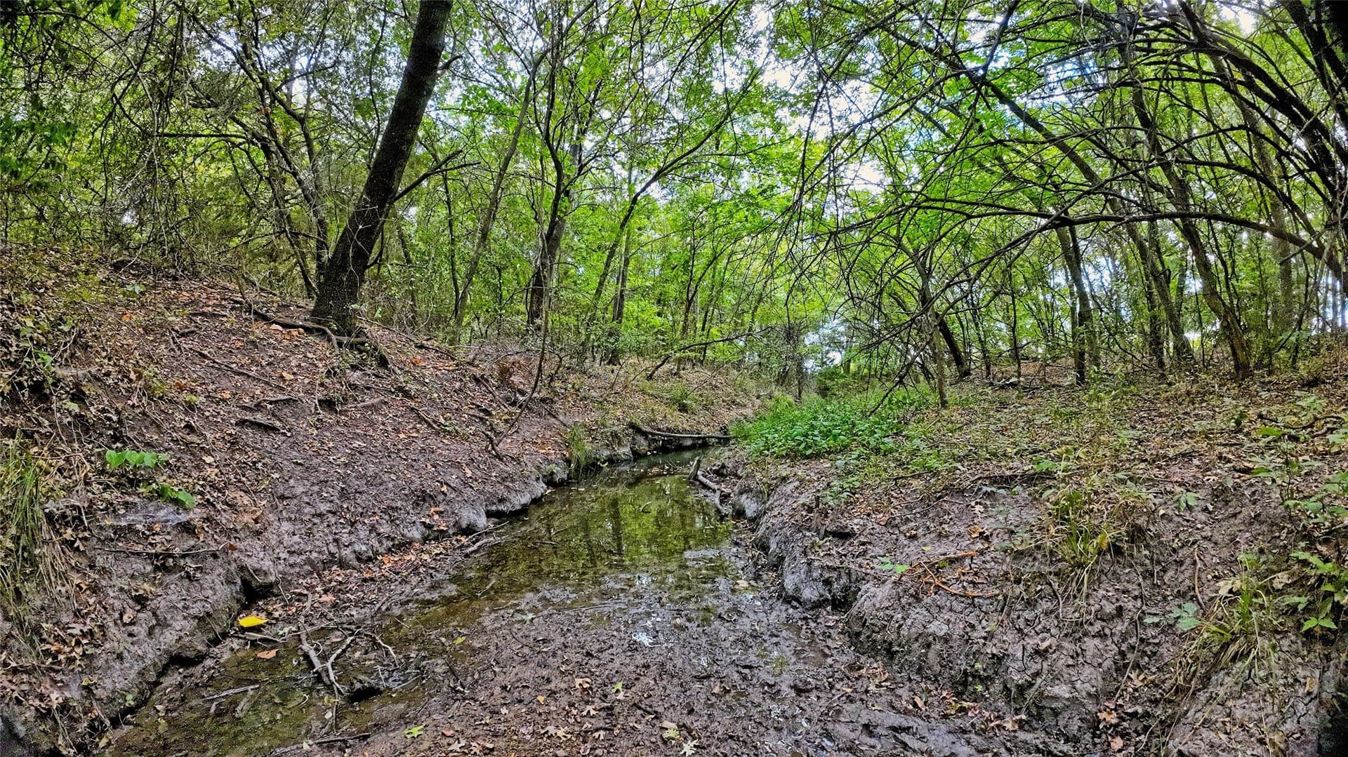 64.54 acres in Montague County - photo 5