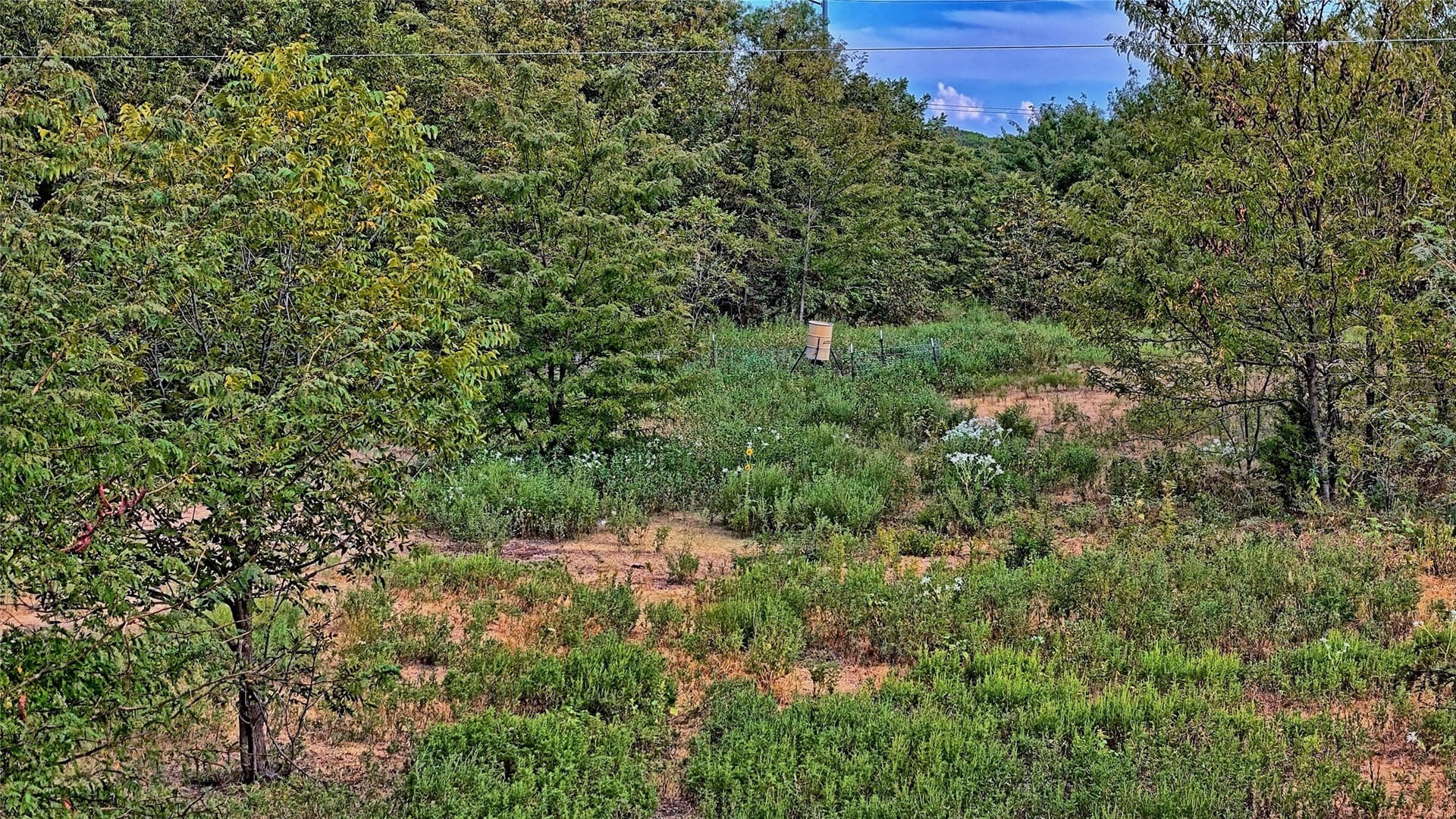 64.54 acres in Montague County - photo 19