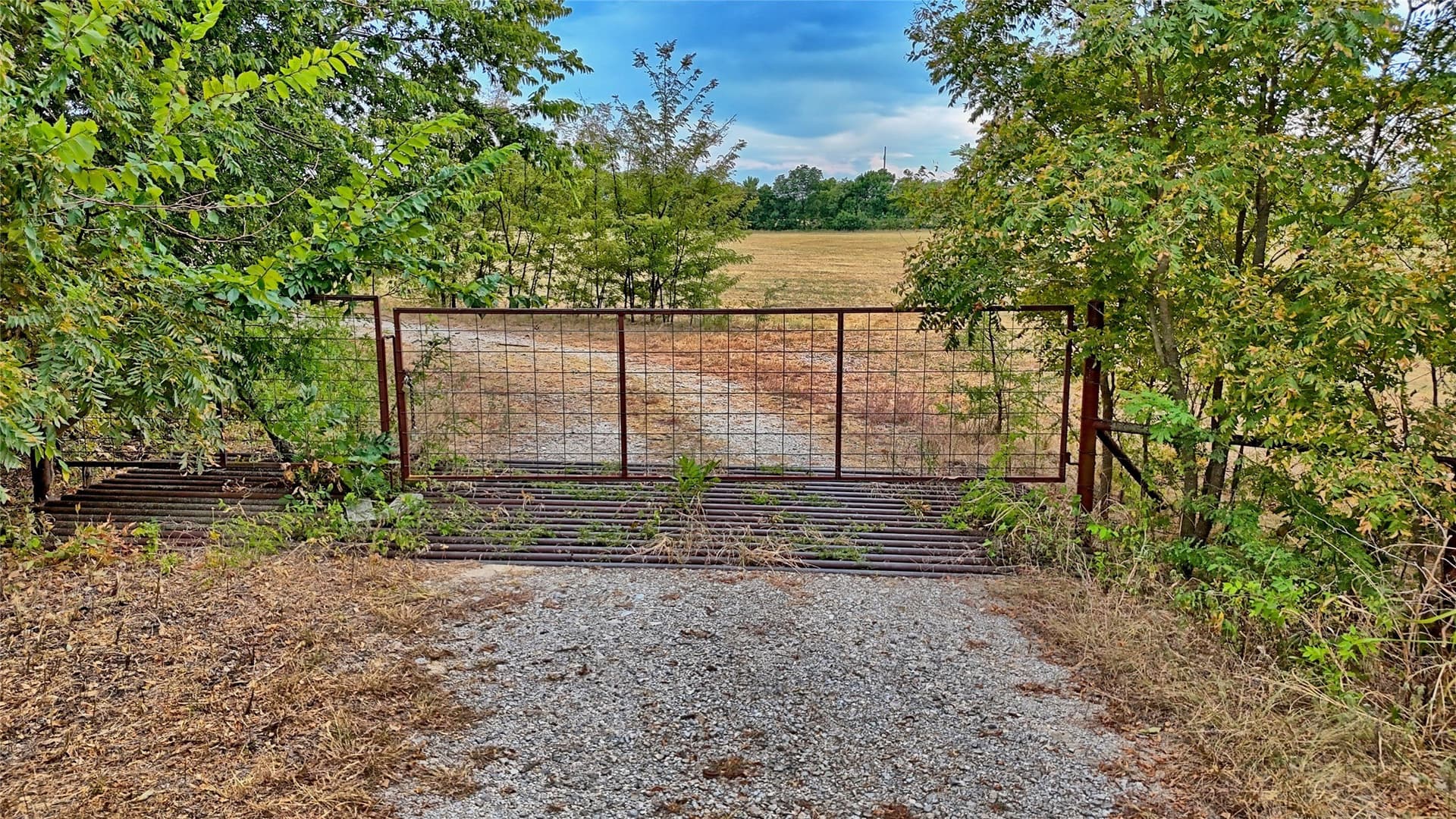 64.54 acres in Montague County - photo 6