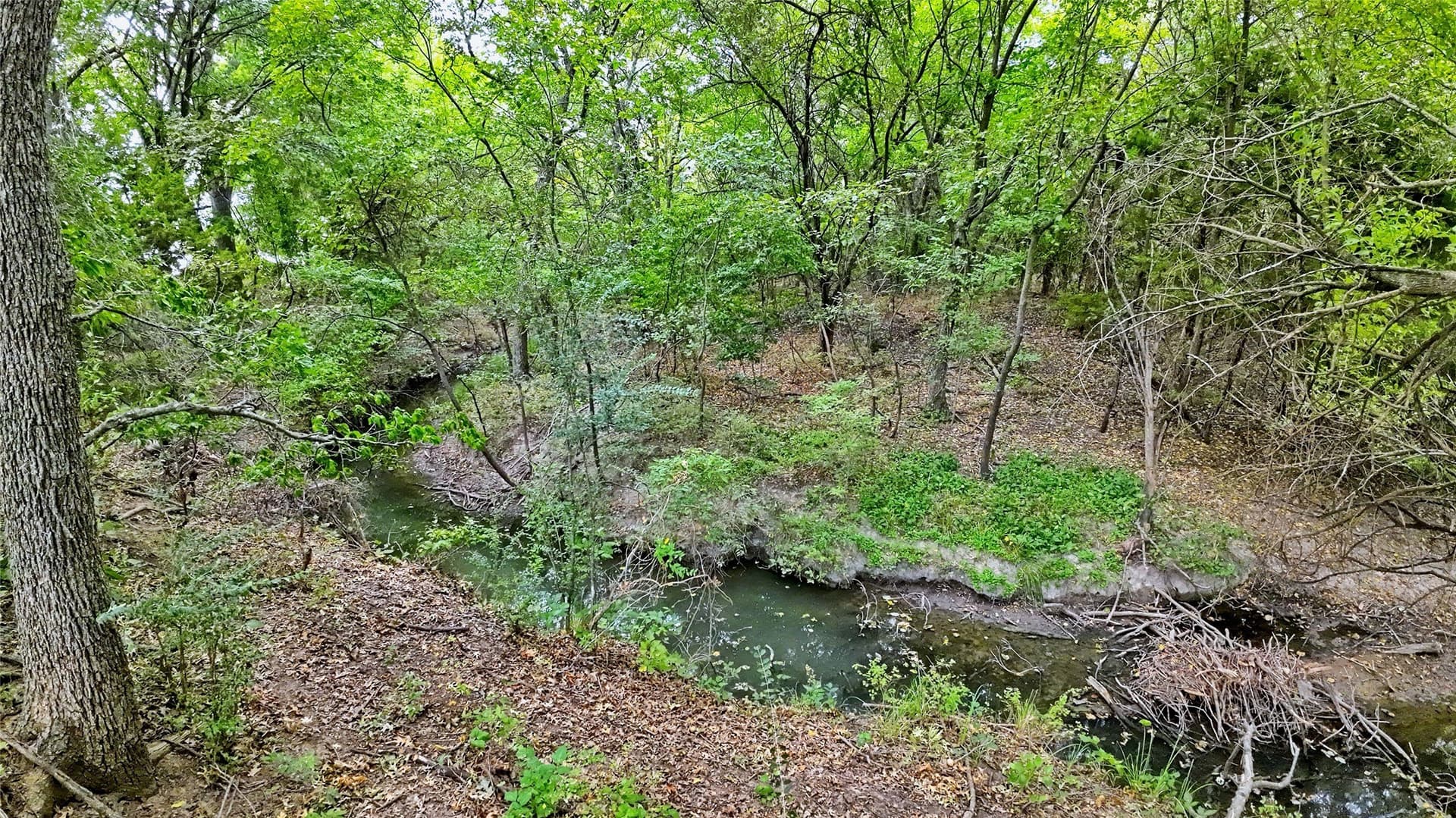 64.54 acres in Montague County - photo 10