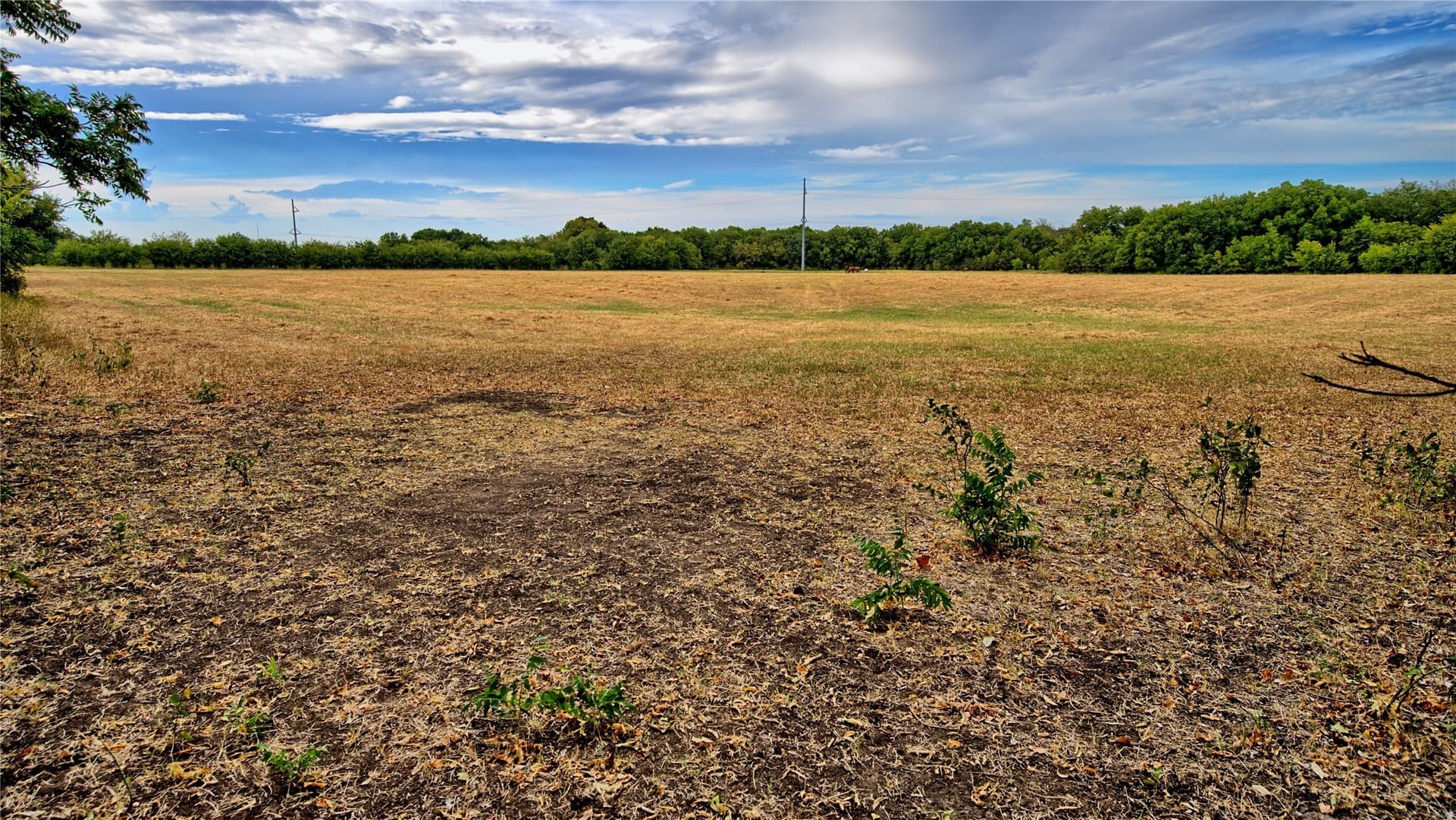 64.54 acres in Montague County - photo 21