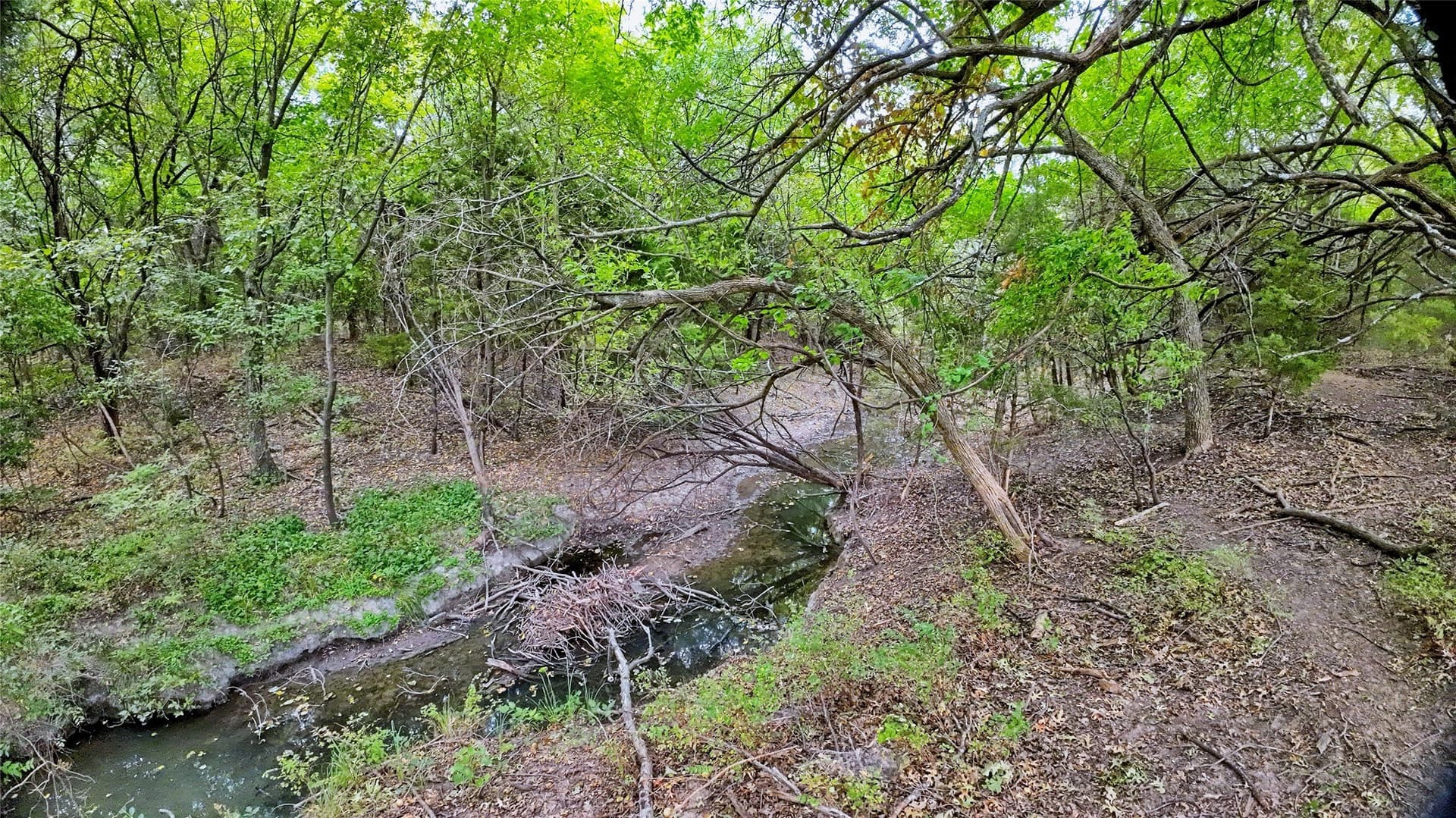 64.54 acres in Montague County - photo 18