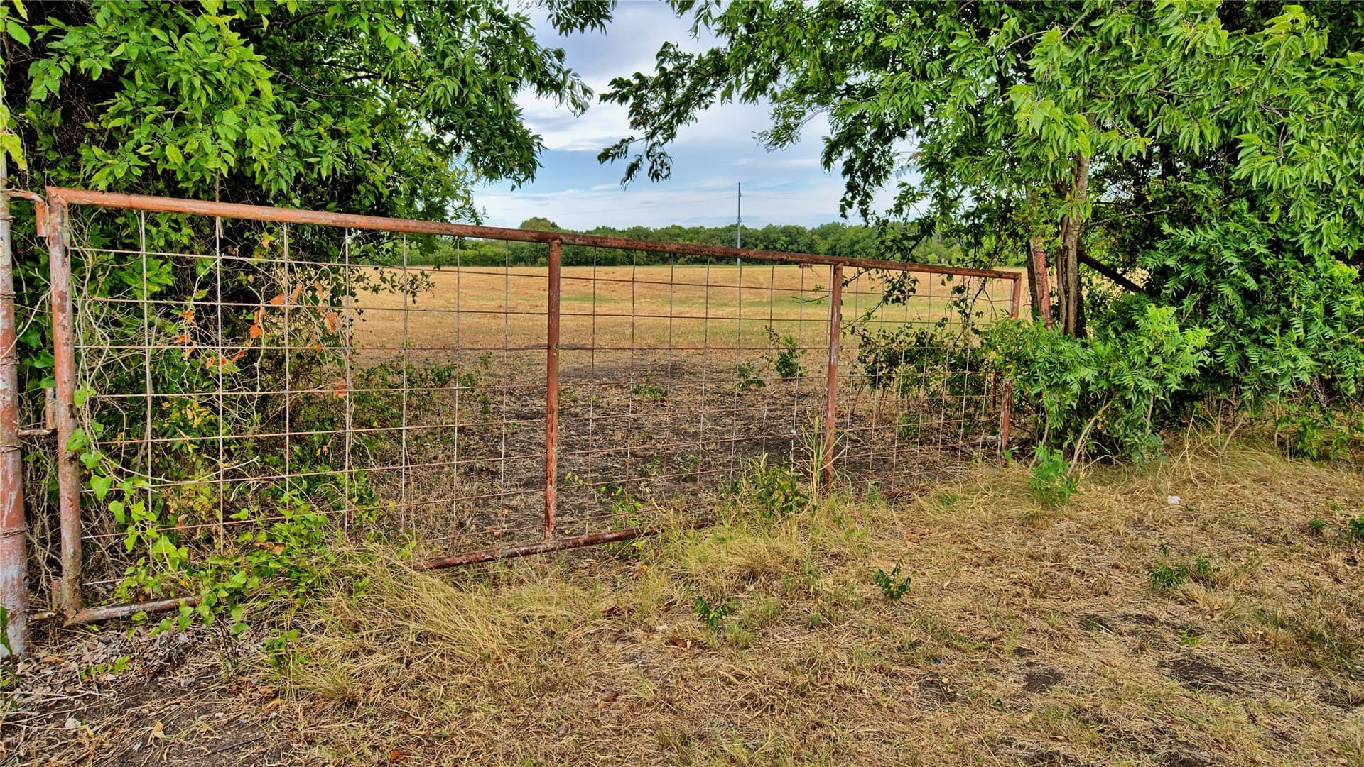 64.54 acres in Montague County - photo 17