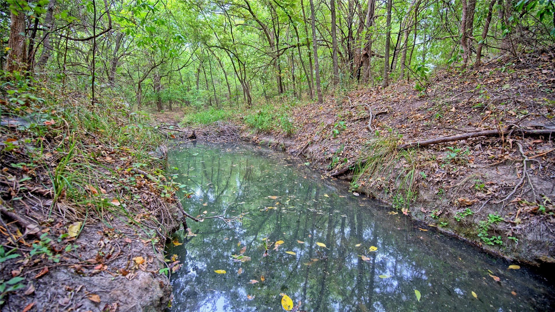 64.54 acres in Montague County - photo 4