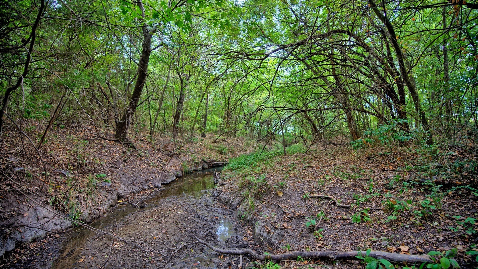 64.54 acres in Montague County - photo 3