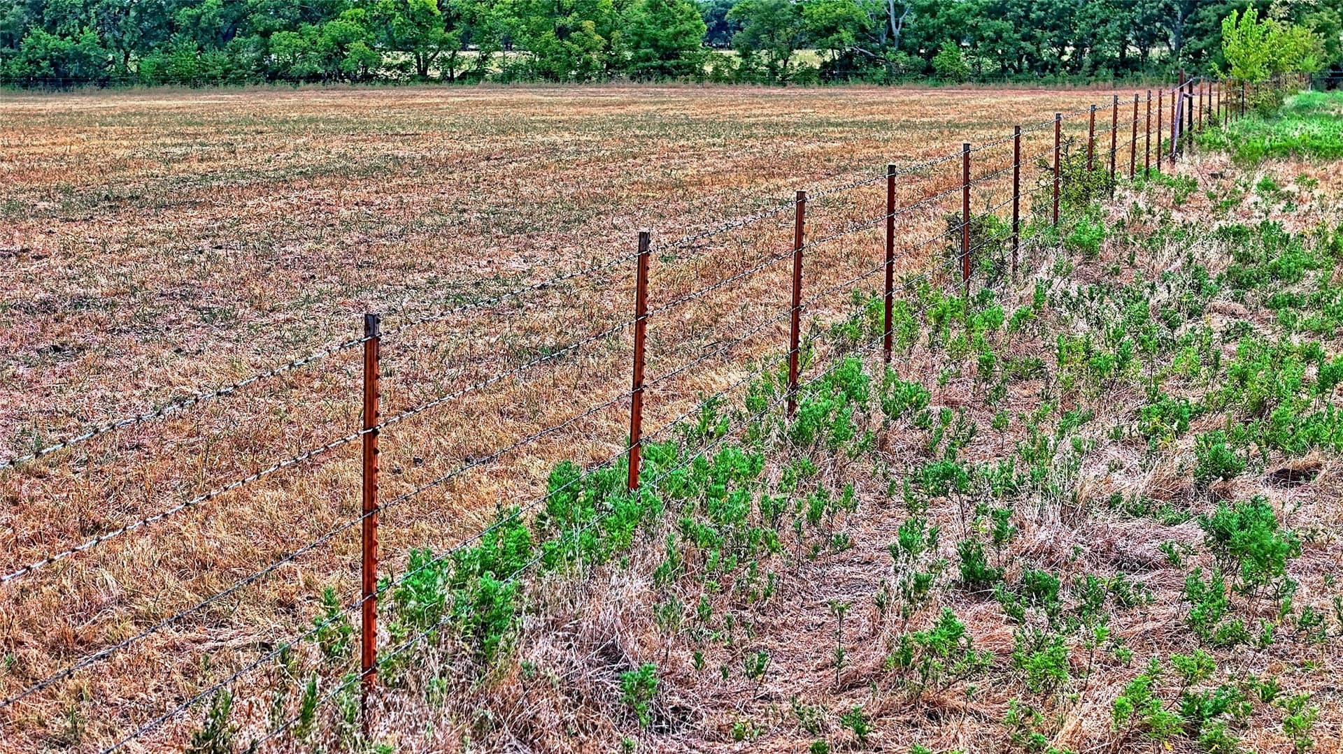 64.54 acres in Montague County - photo 15