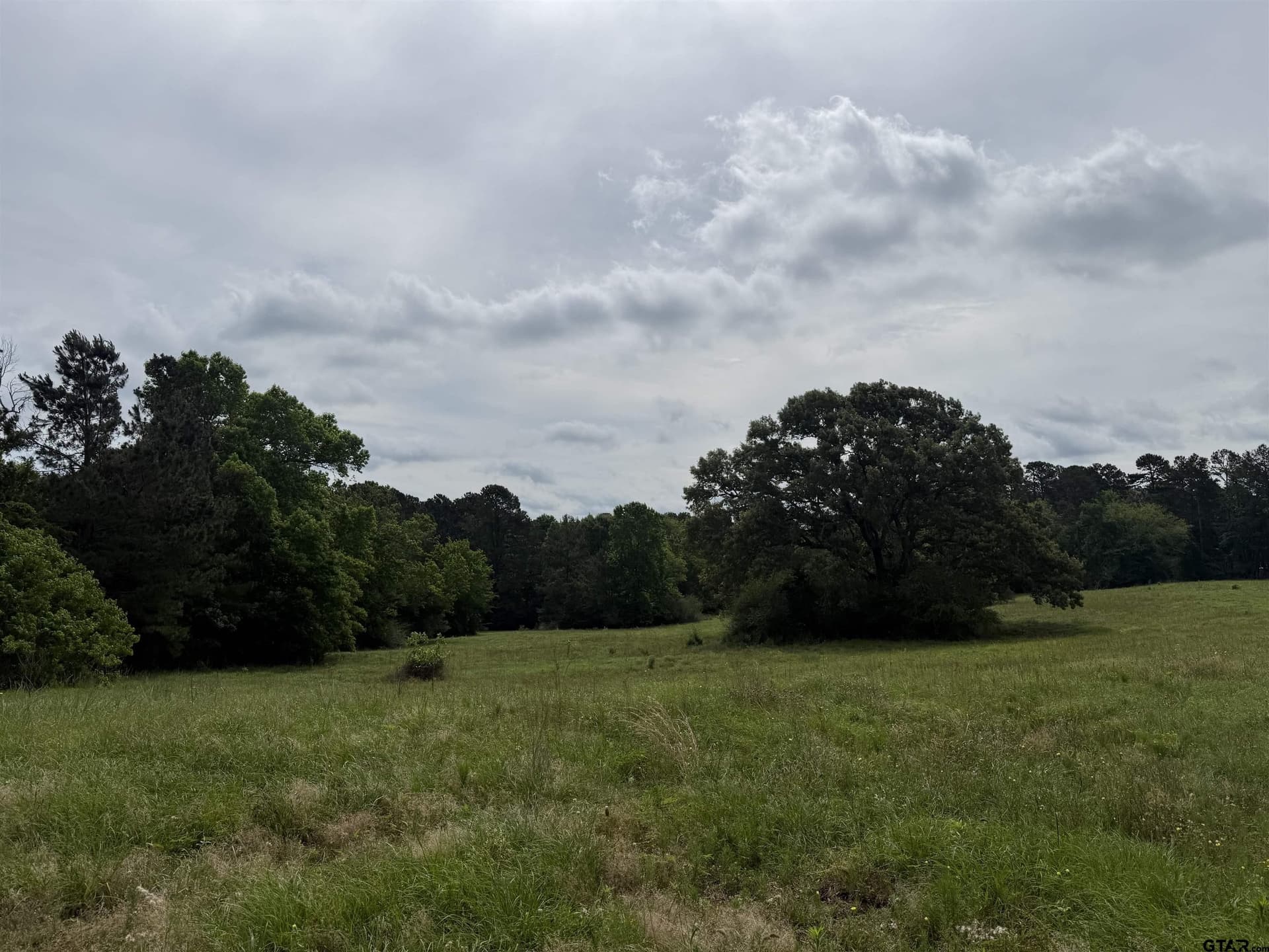 60.3 acres in Cherokee County - photo 2
