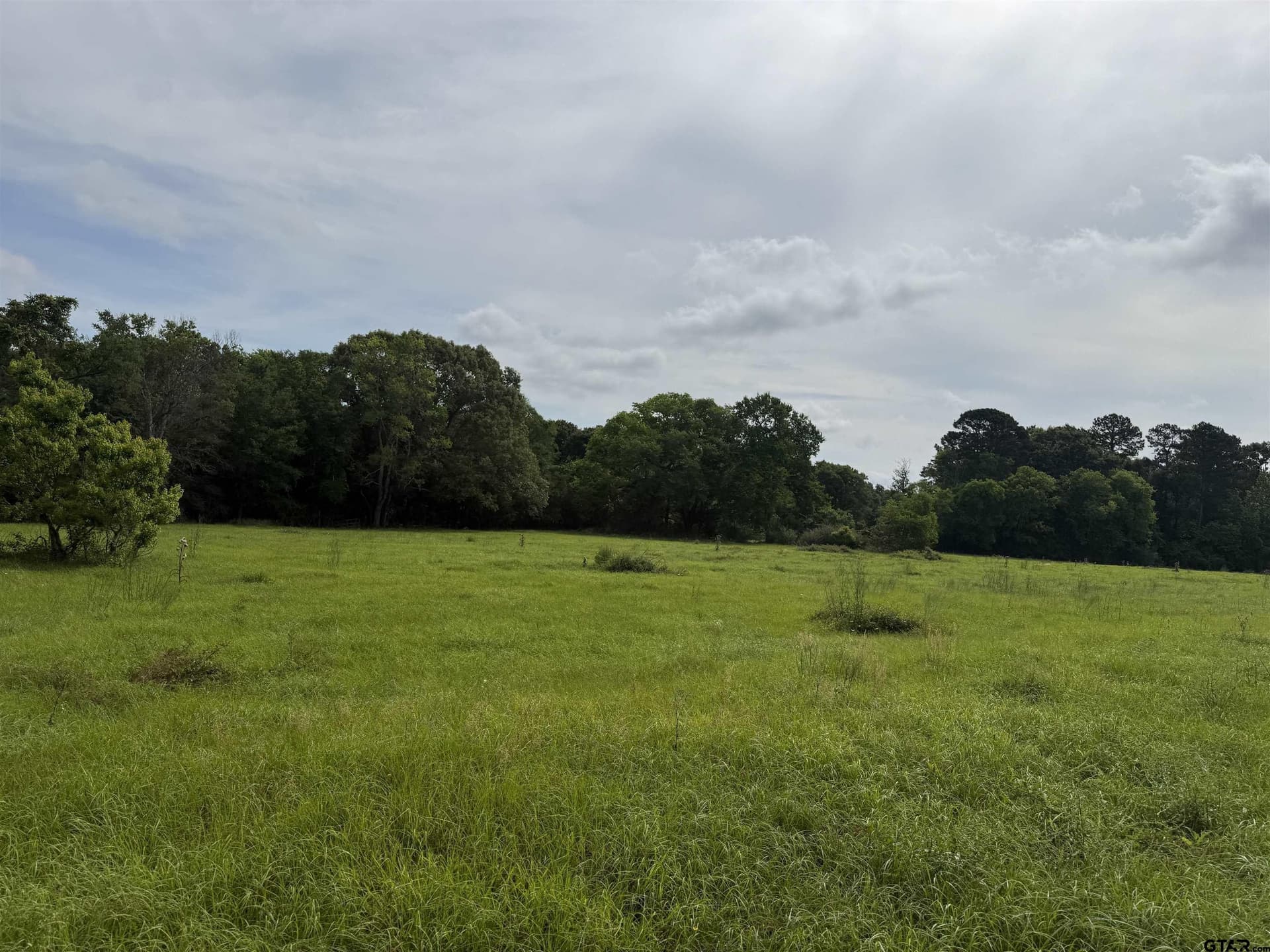 60.3 acres in Cherokee County - photo 8