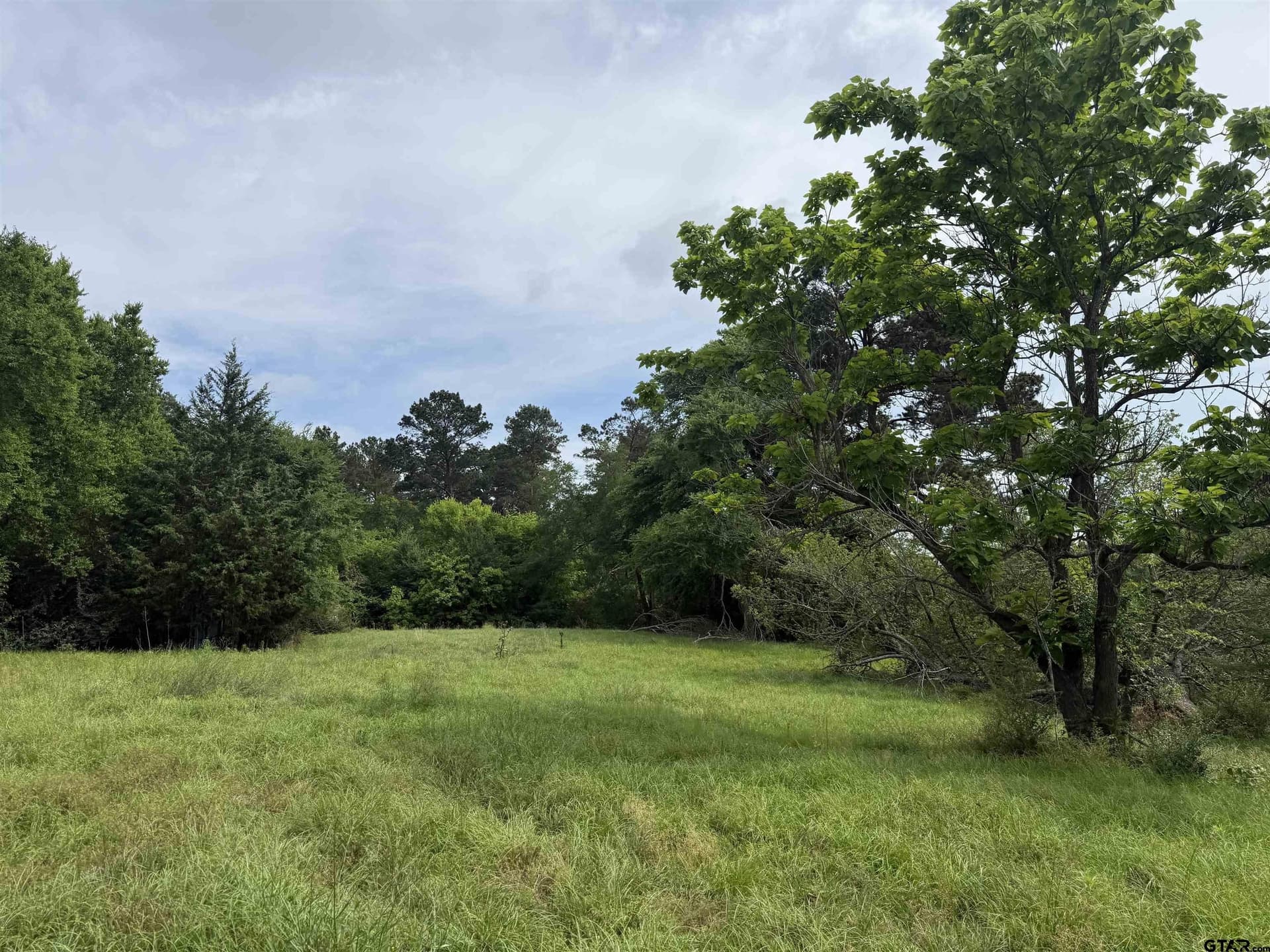 60.3 acres in Cherokee County - photo 4