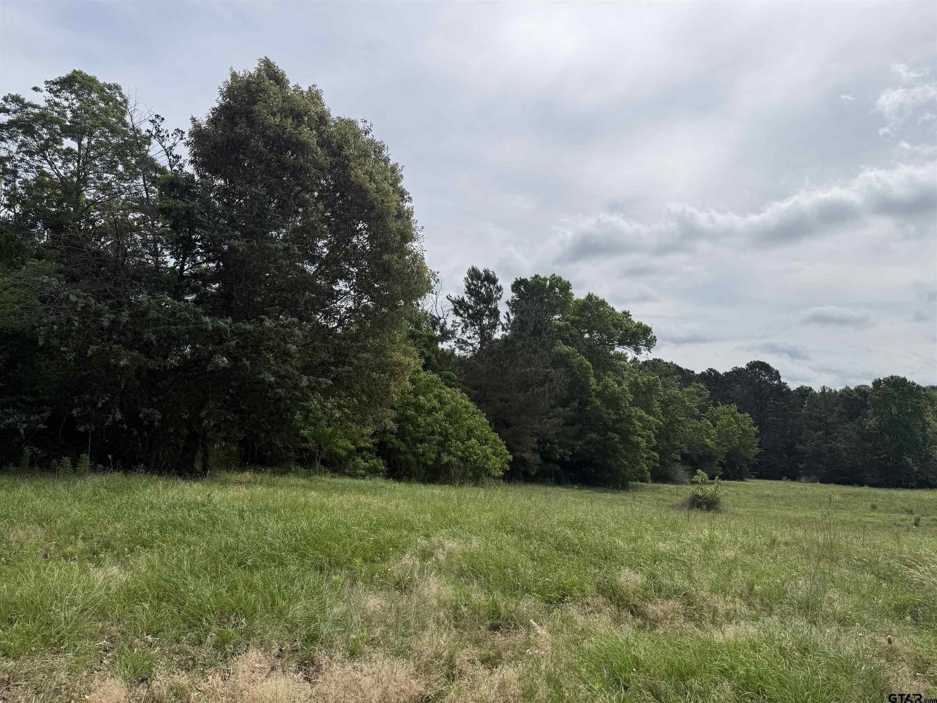 60.3 acres in Cherokee County - photo 3