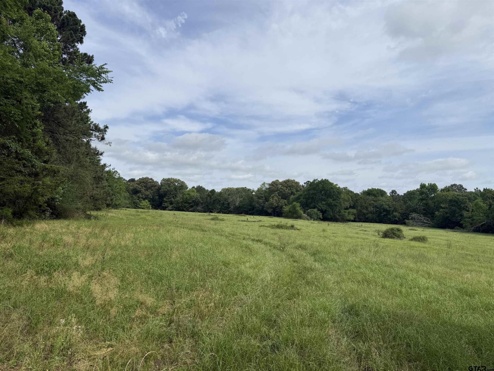 60.3 acres in Cherokee County - photo 6