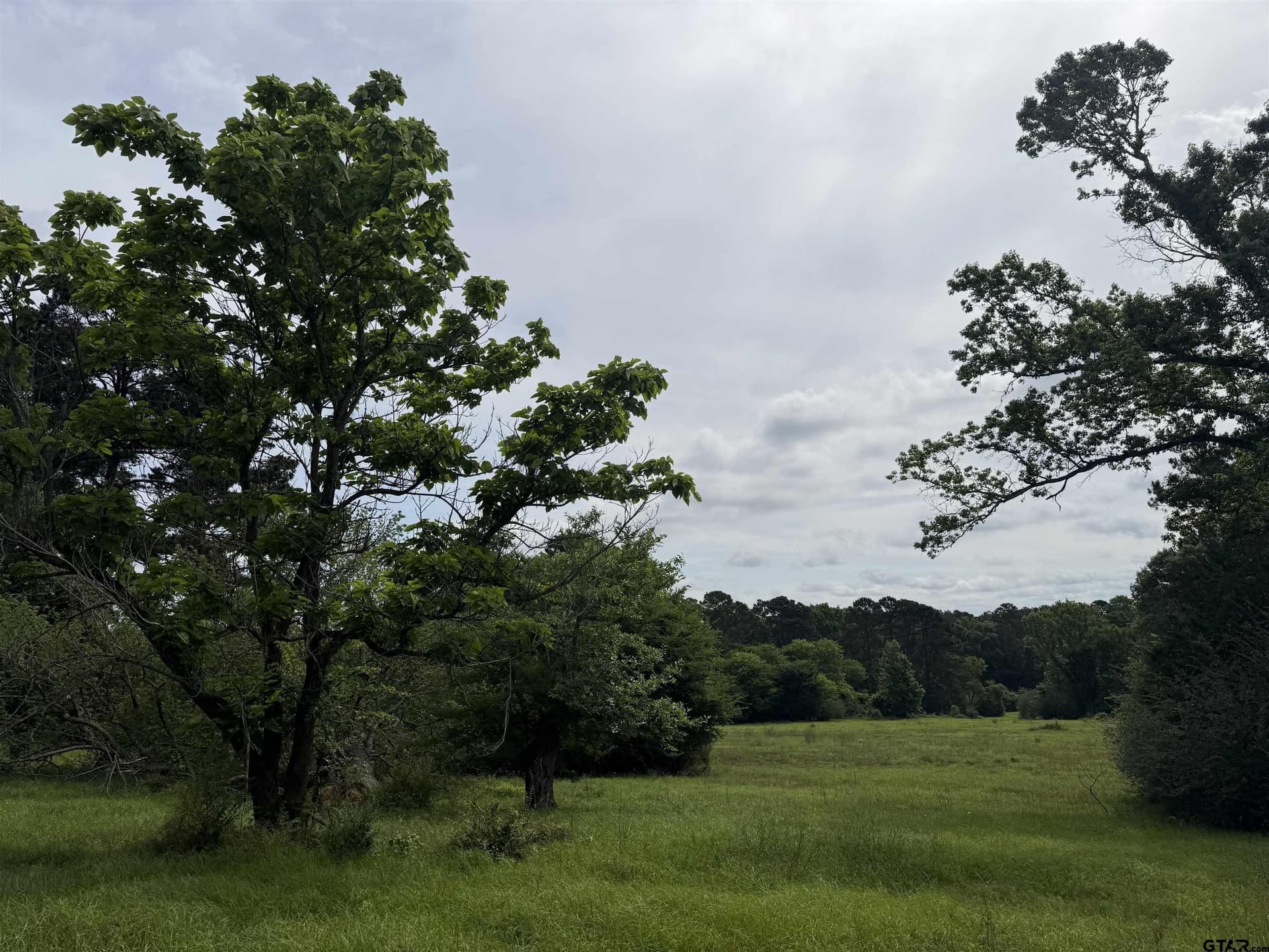 60.3 acres in Cherokee County - photo 5