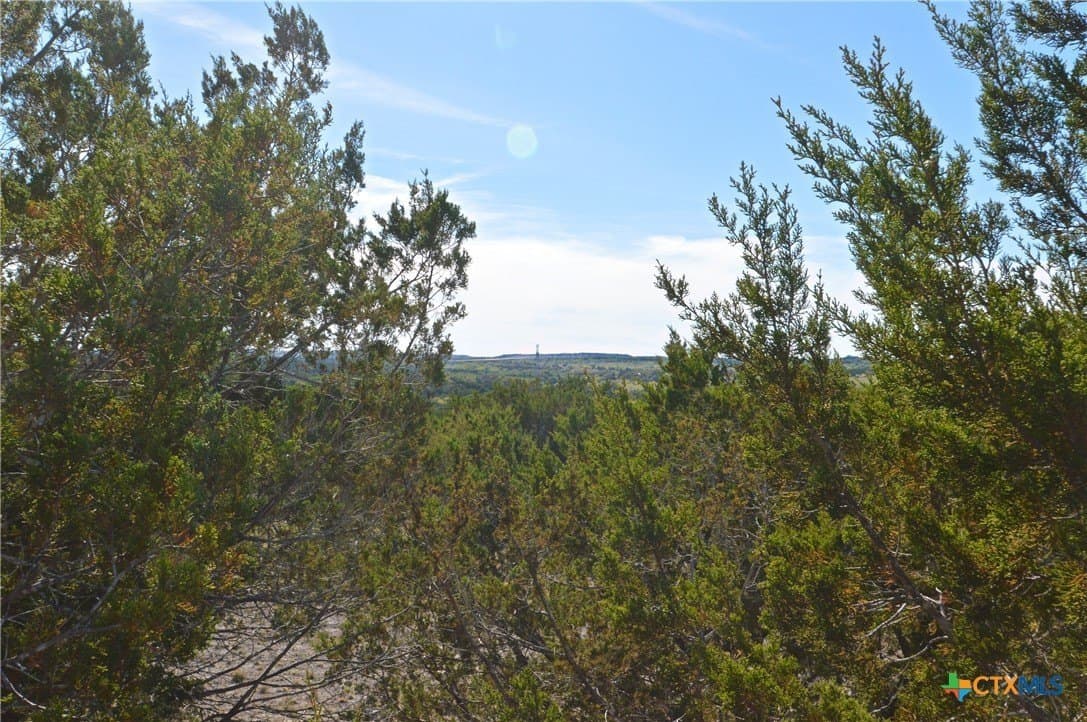 162.03 acres in Lampasas County - photo 12