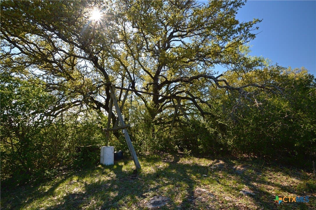162.03 acres in Lampasas County - photo 18