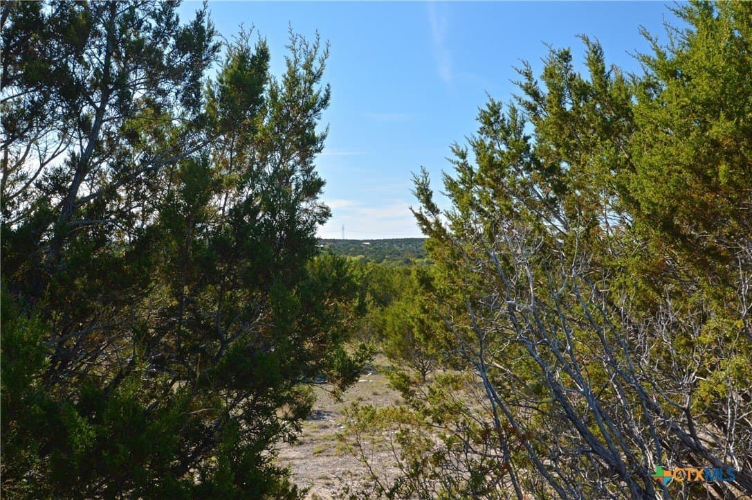 162.03 acres in Lampasas County - photo 11
