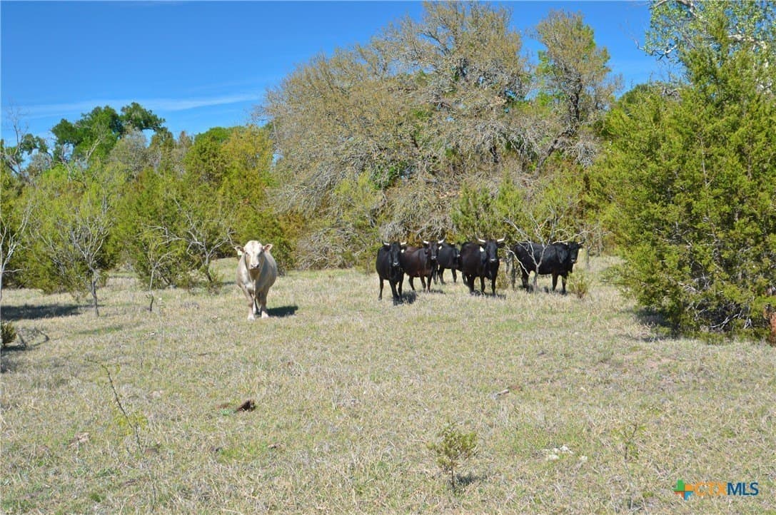 162.03 acres in Lampasas County - photo 10