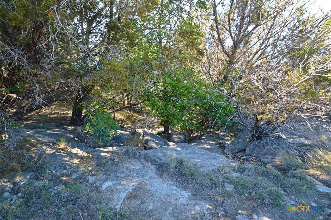 162.03 acres in Lampasas County - photo 29