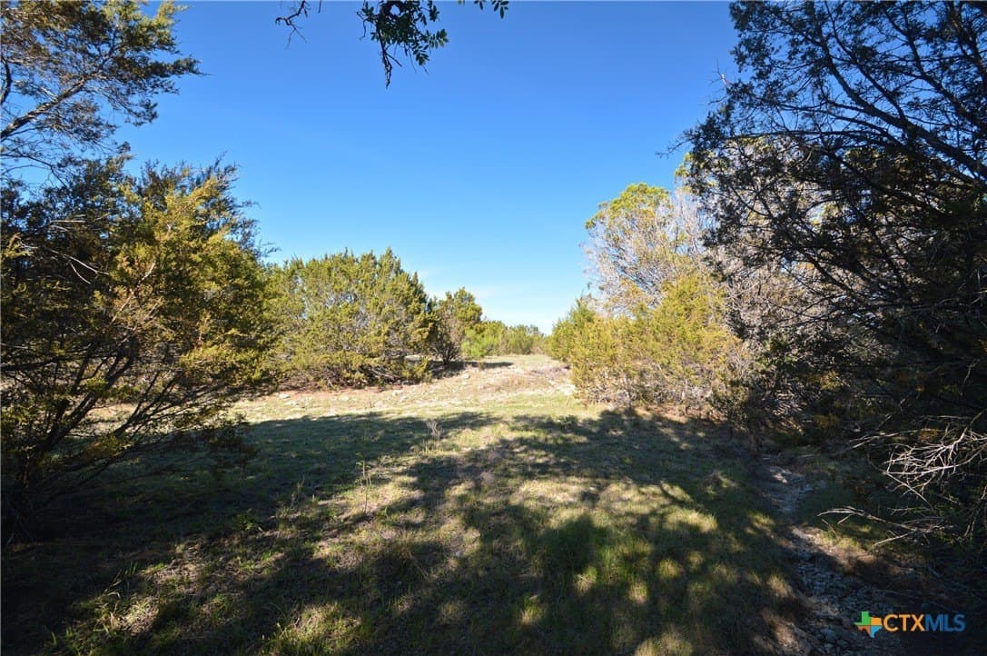 162.03 acres in Lampasas County - photo 20