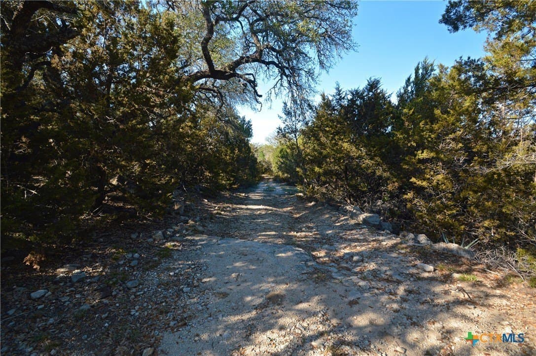 162.03 acres in Lampasas County - photo 8