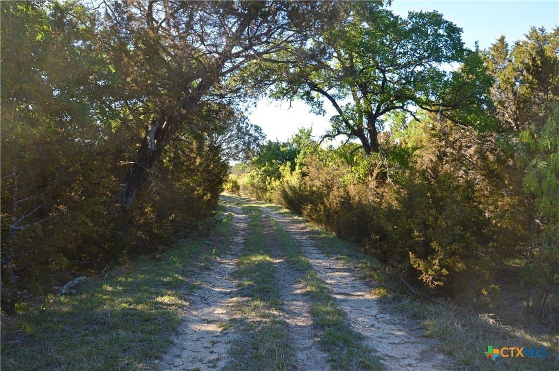 162.03 acres in Lampasas County - photo 13