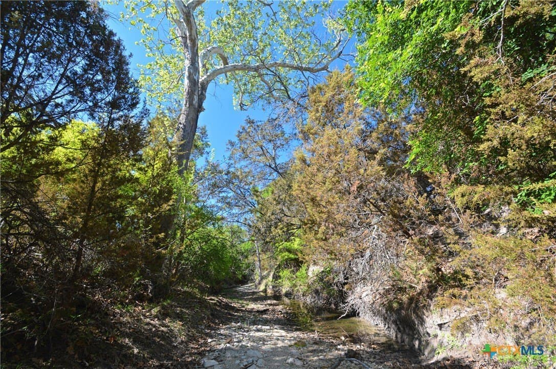 162.03 acres in Lampasas County gallery image 4