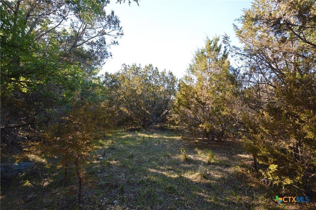 162.03 acres in Lampasas County - photo 19