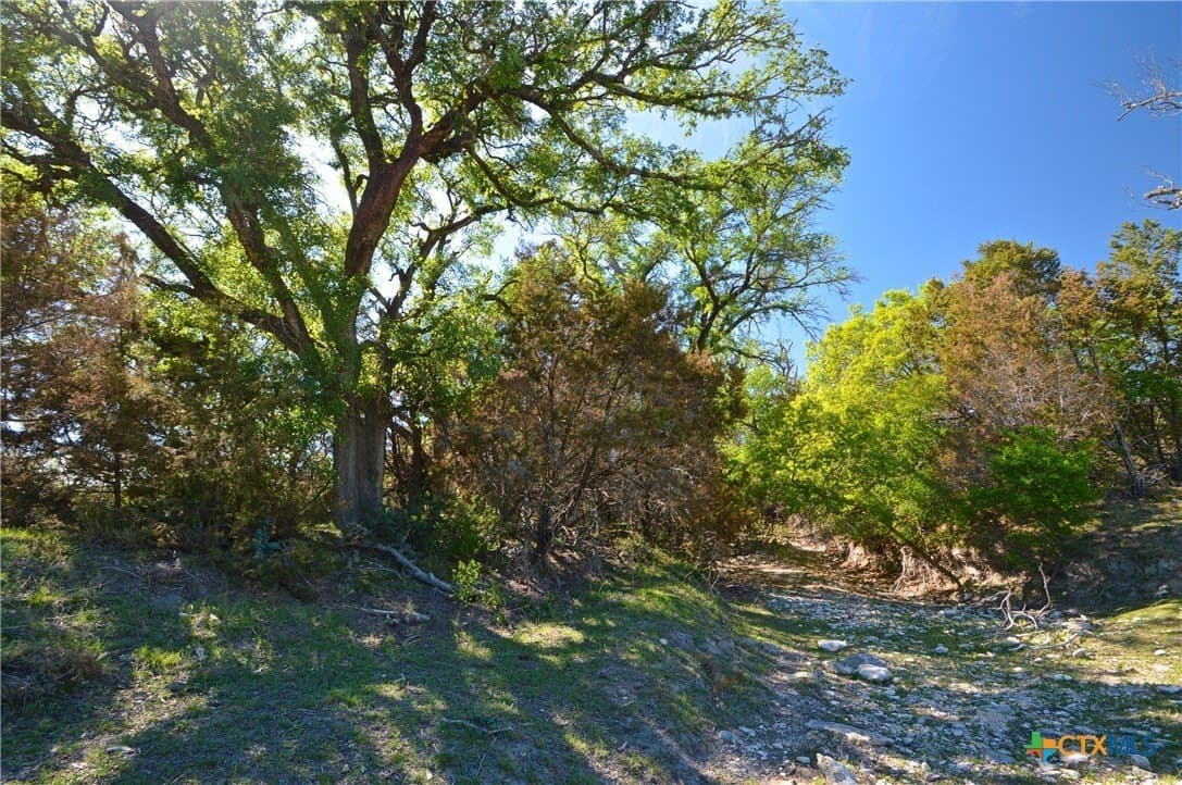 162.03 acres in Lampasas County - photo 6