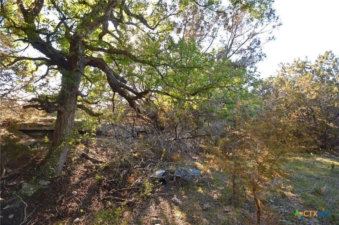 162.03 acres in Lampasas County - photo 9