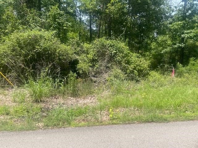 5 acres in Texas County - photo 6